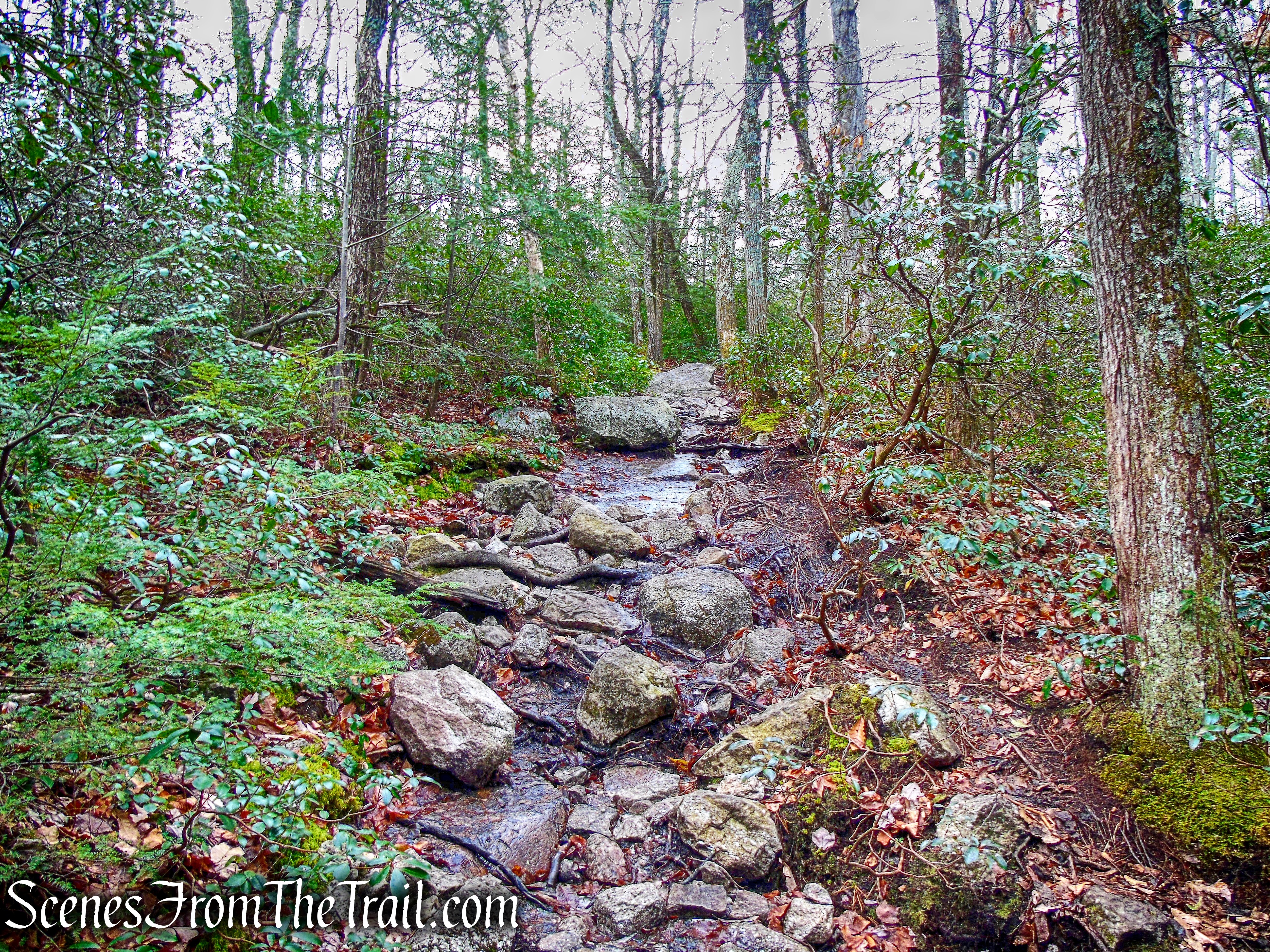 Millbrook Mountain Footpath