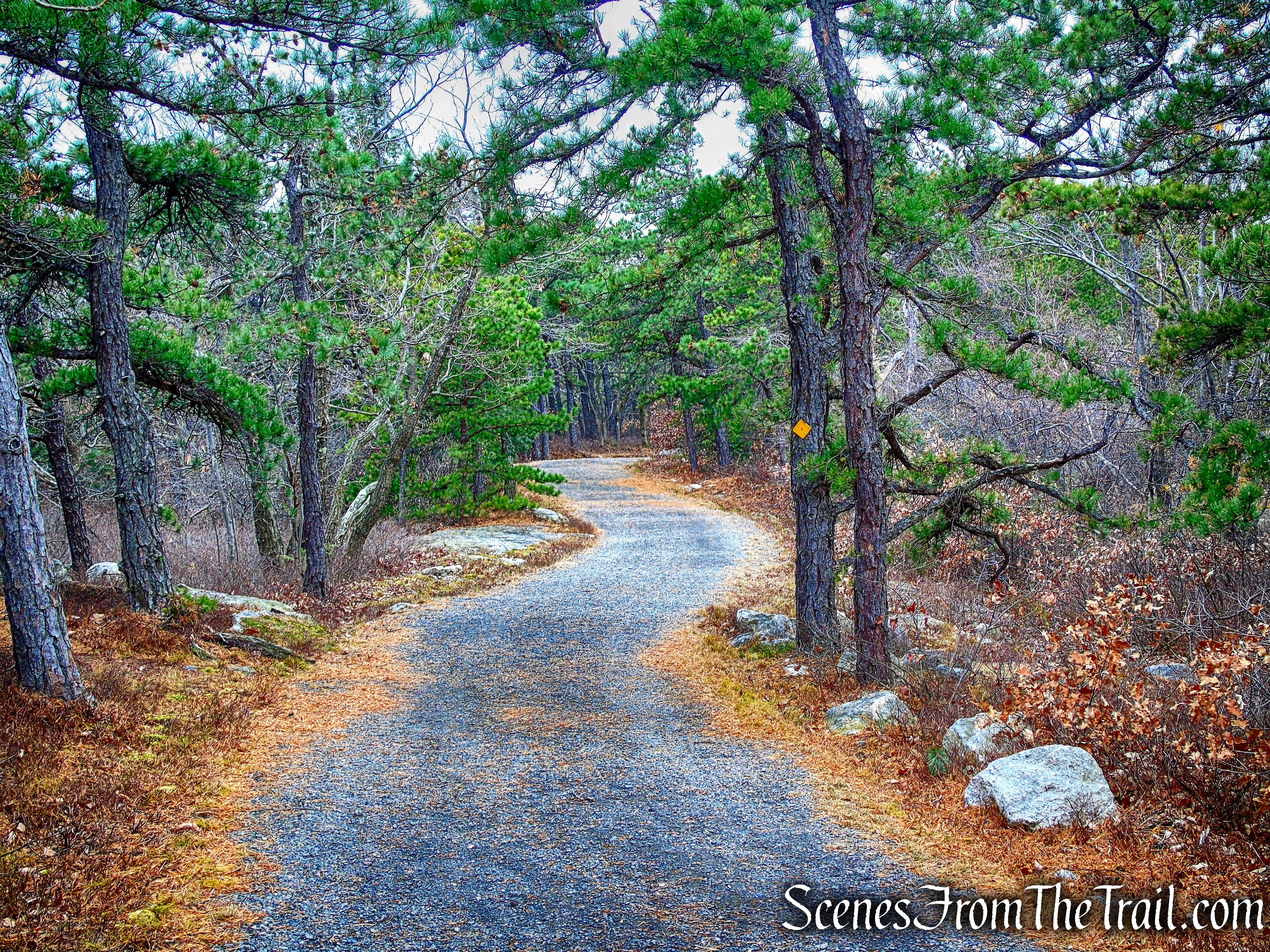 Millbrook Mountain Carriage Road