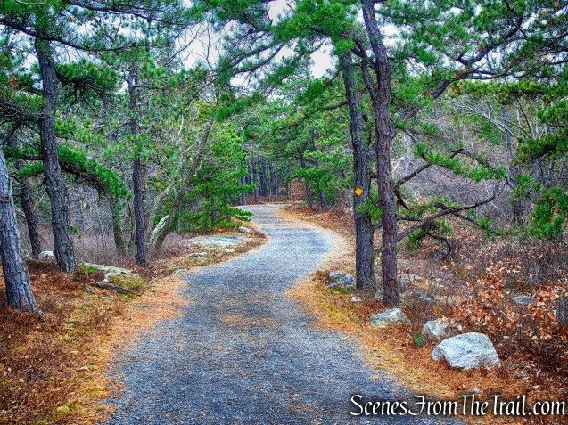 Millbrook Mountain Carriage Road