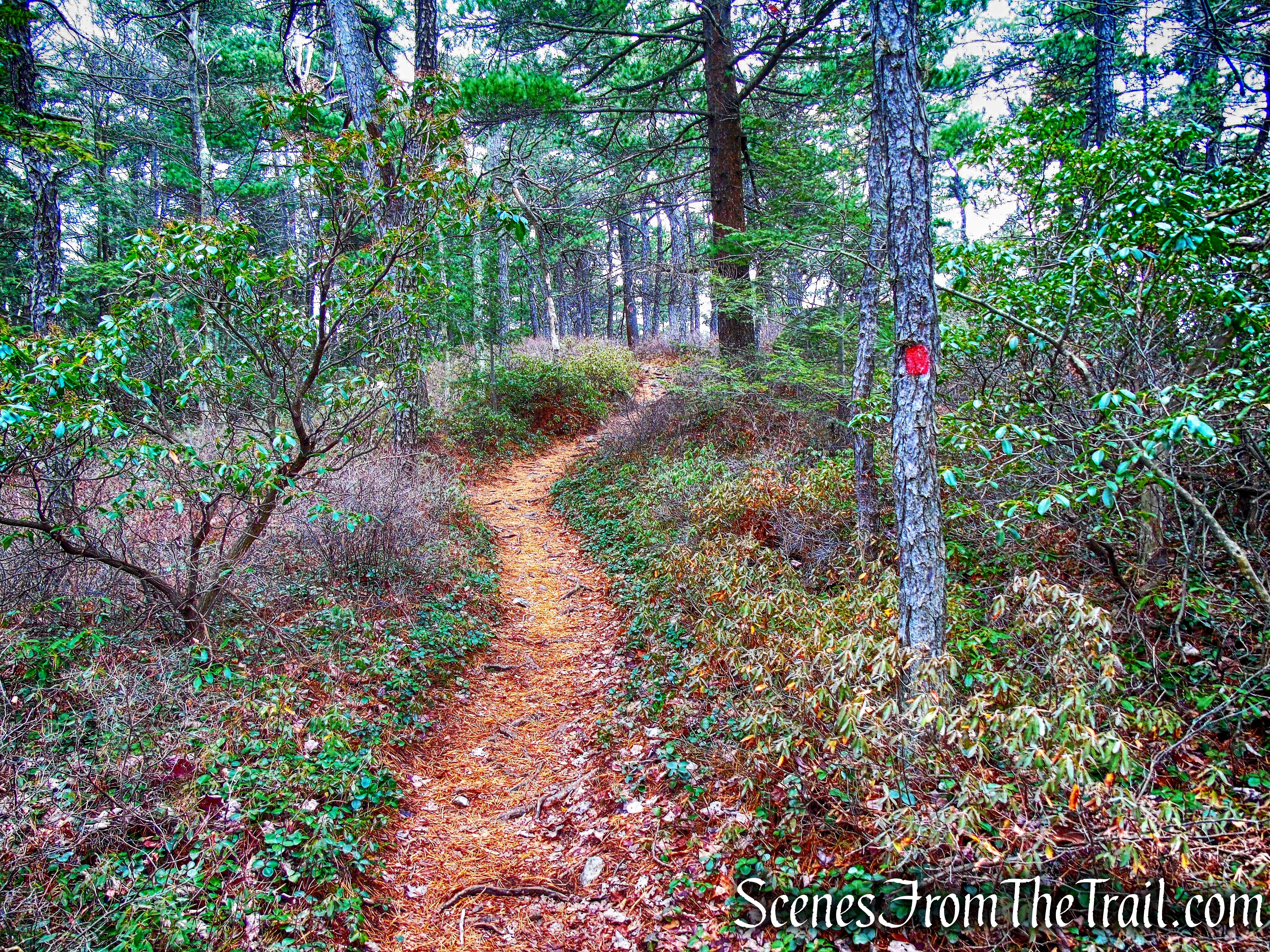 Gertrude's Nose Footpath