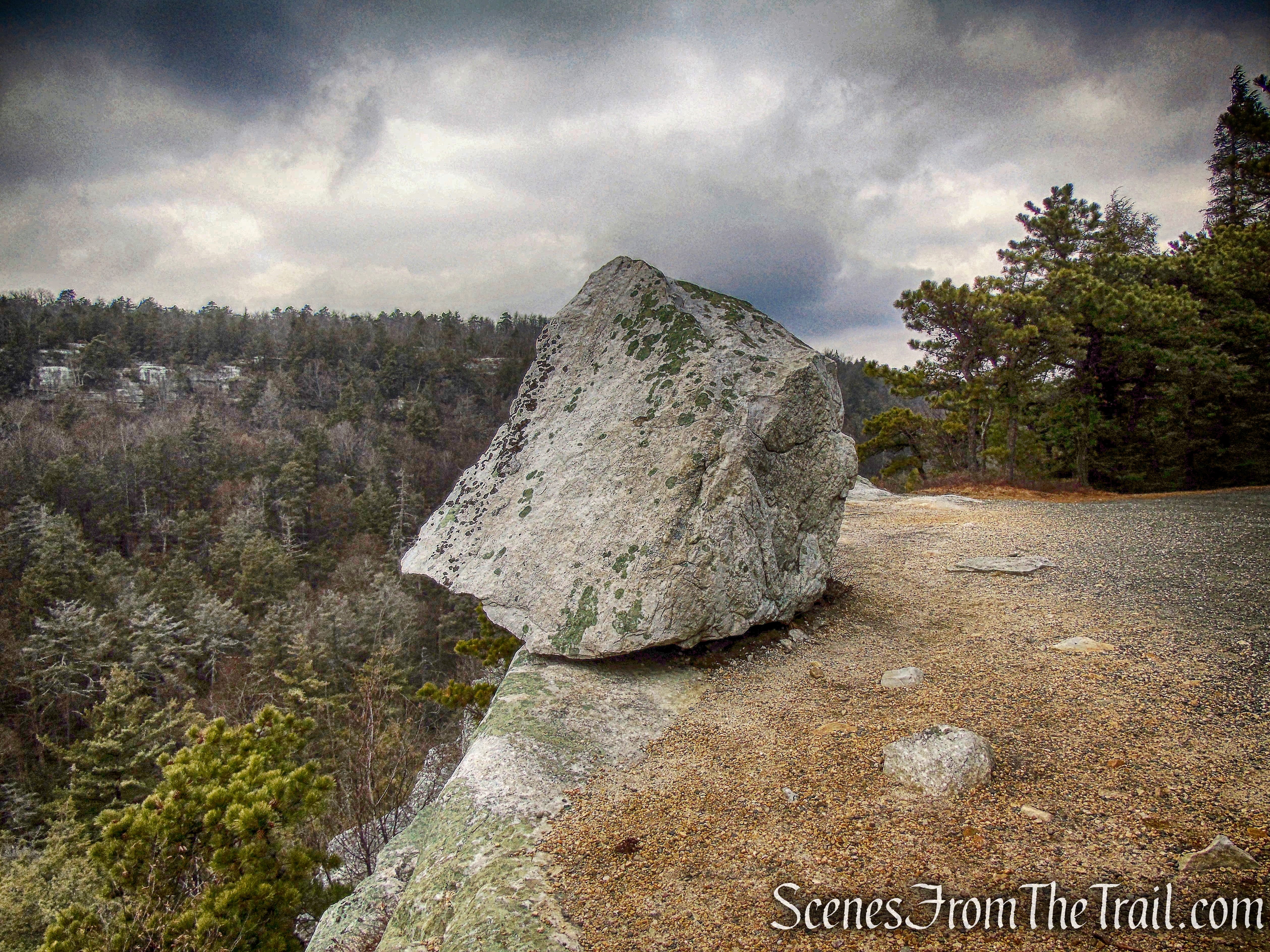 Patterson's Pellet - Millbrook Mountain Carriage Road