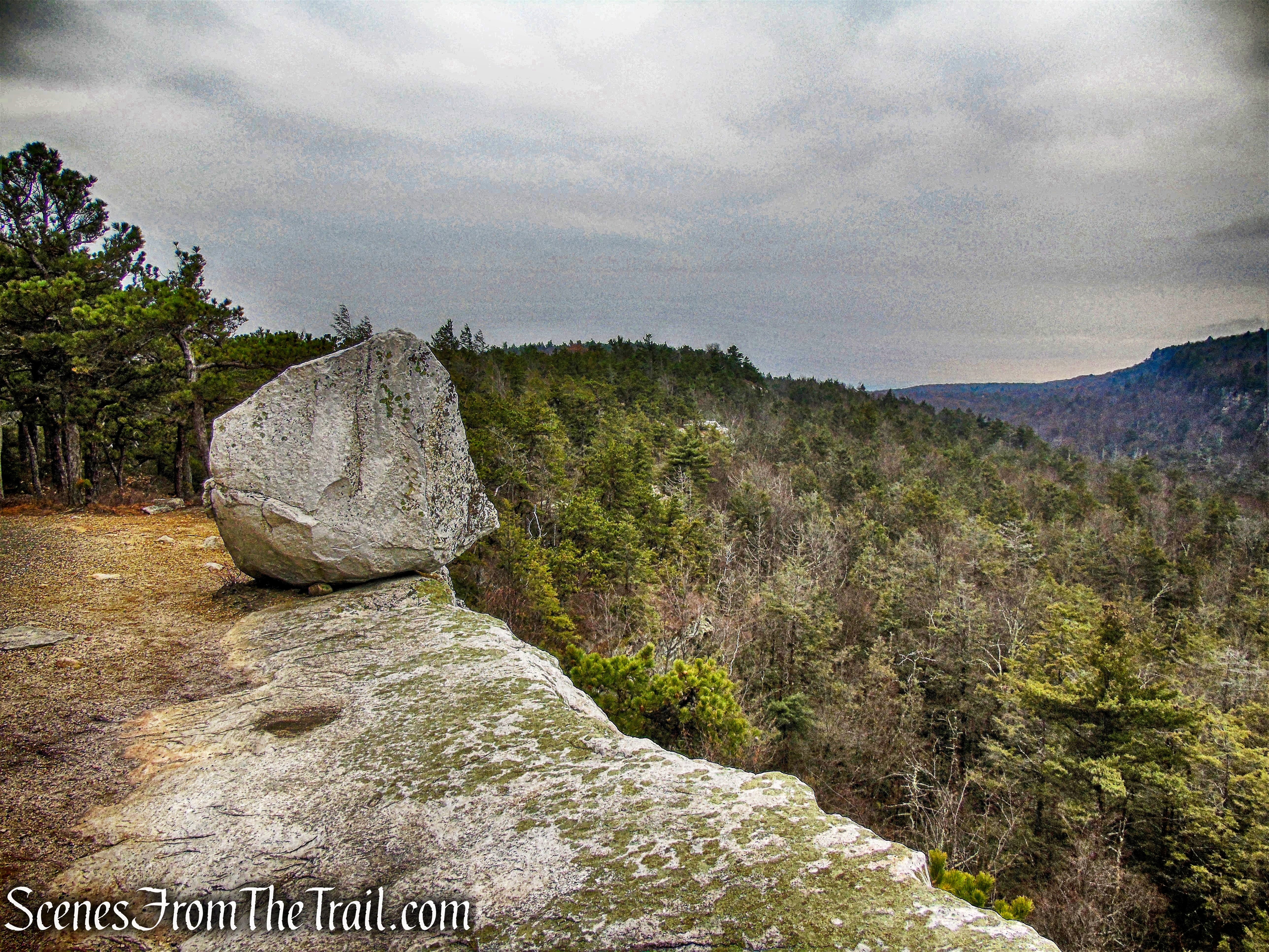 Patterson's Pellet - Millbrook Mountain Carriage Road