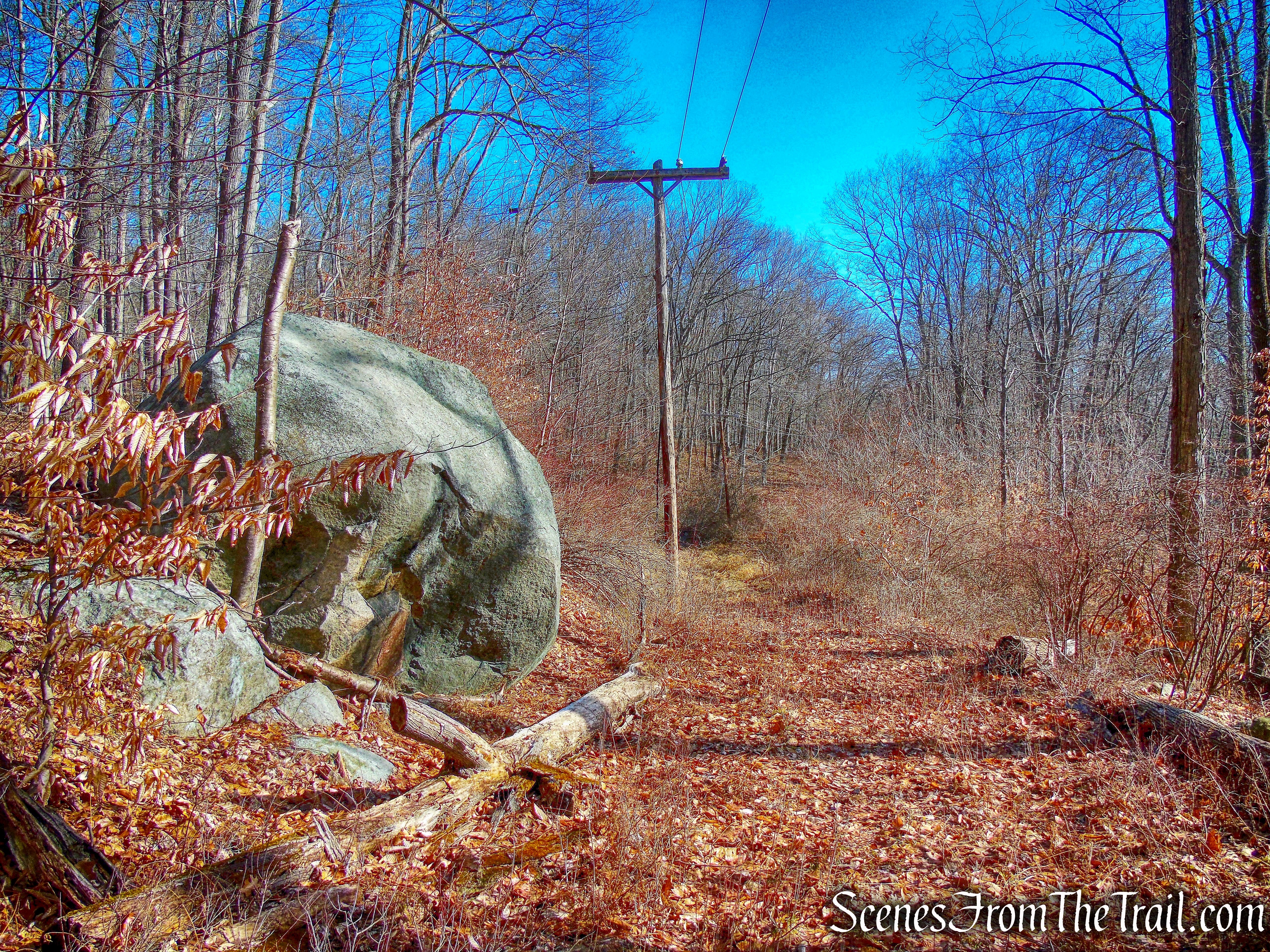 old woods road