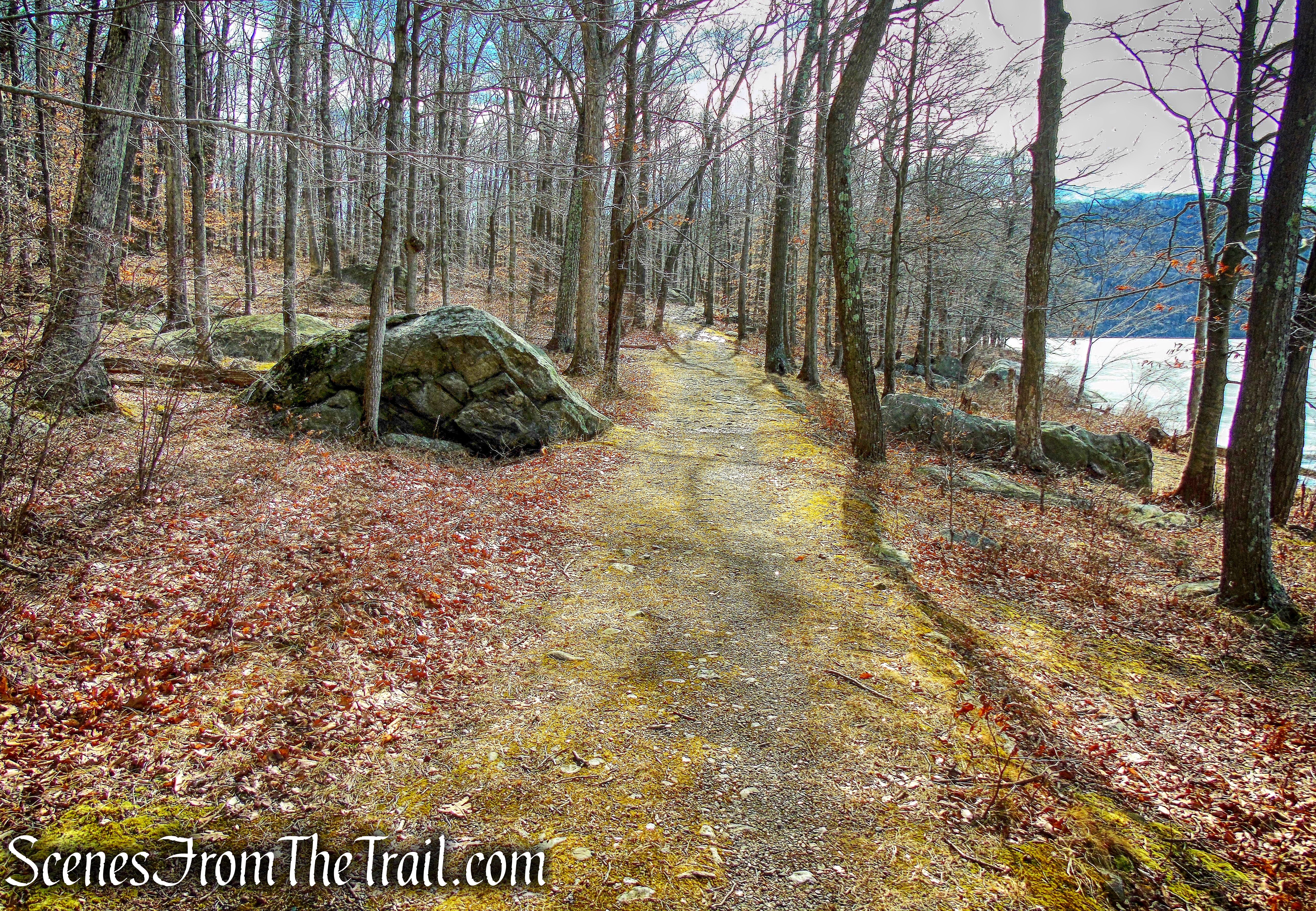 Silvermine Road