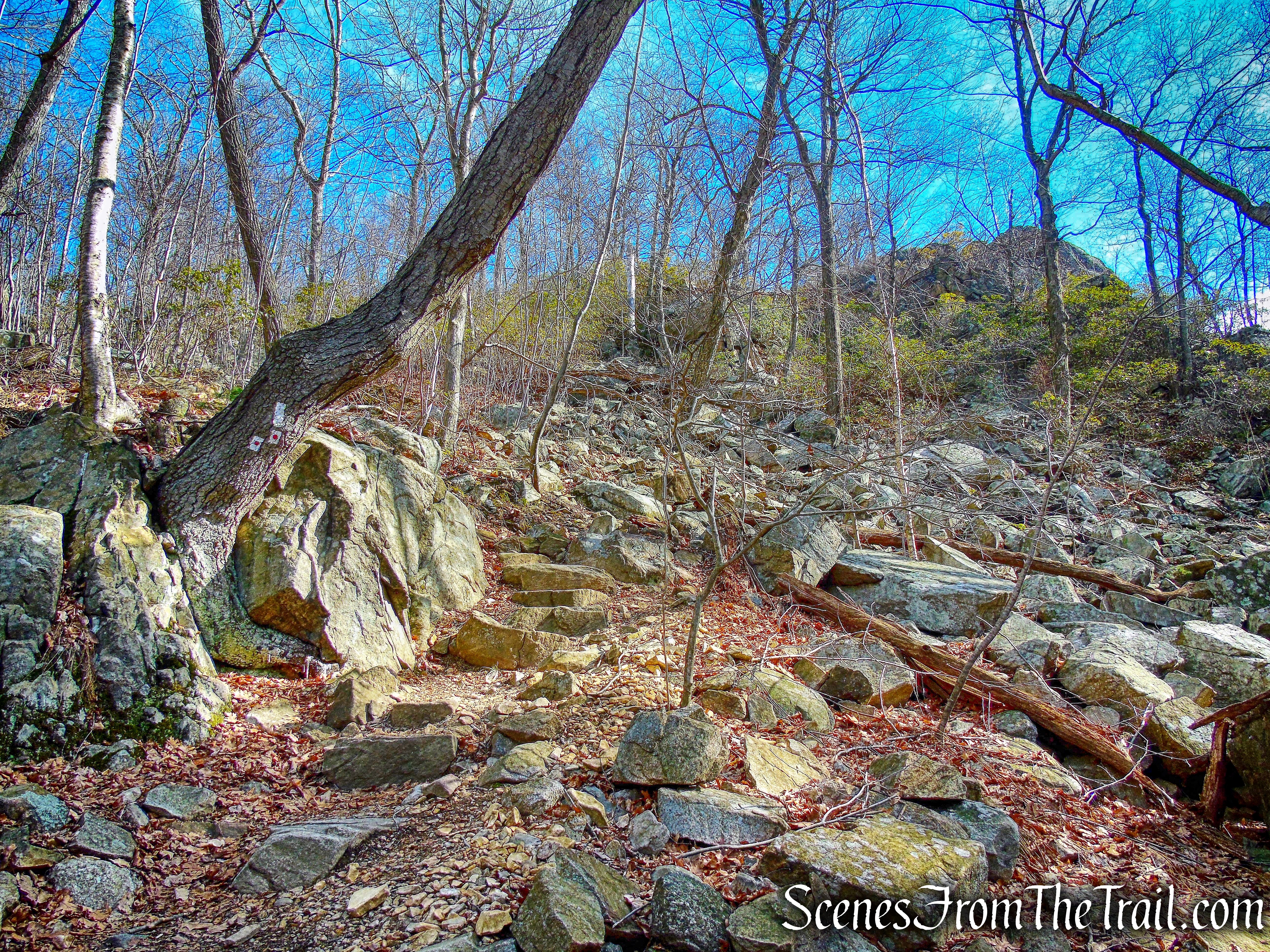 joint AT/R-D trail