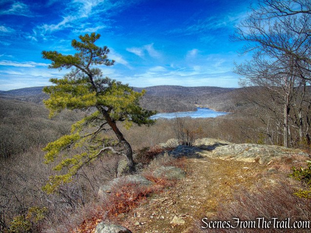 western view from Black Mountain