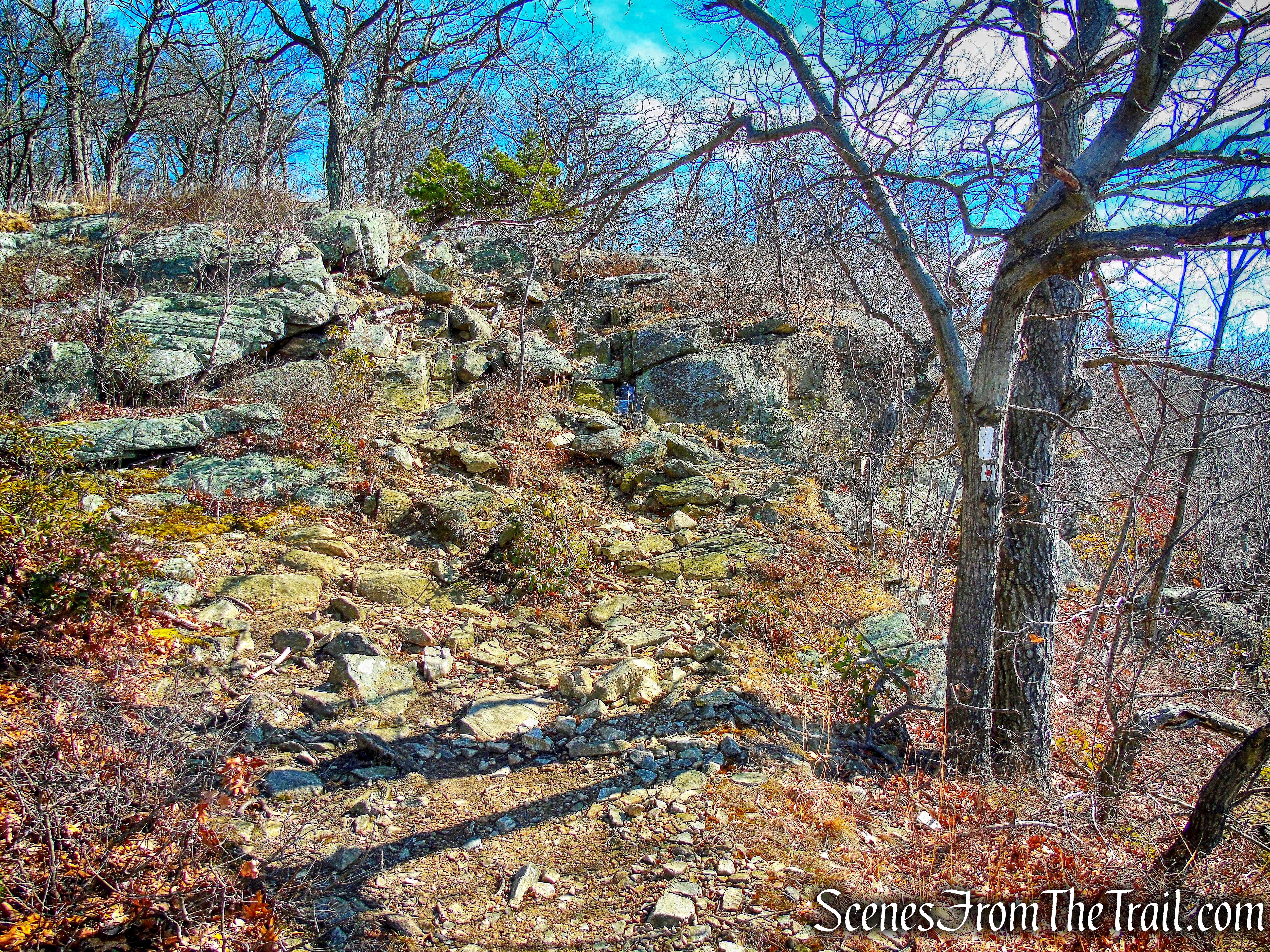 joint AT/R-D trail on Black Mountain