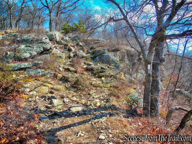 joint AT/R-D trail on Black Mountain