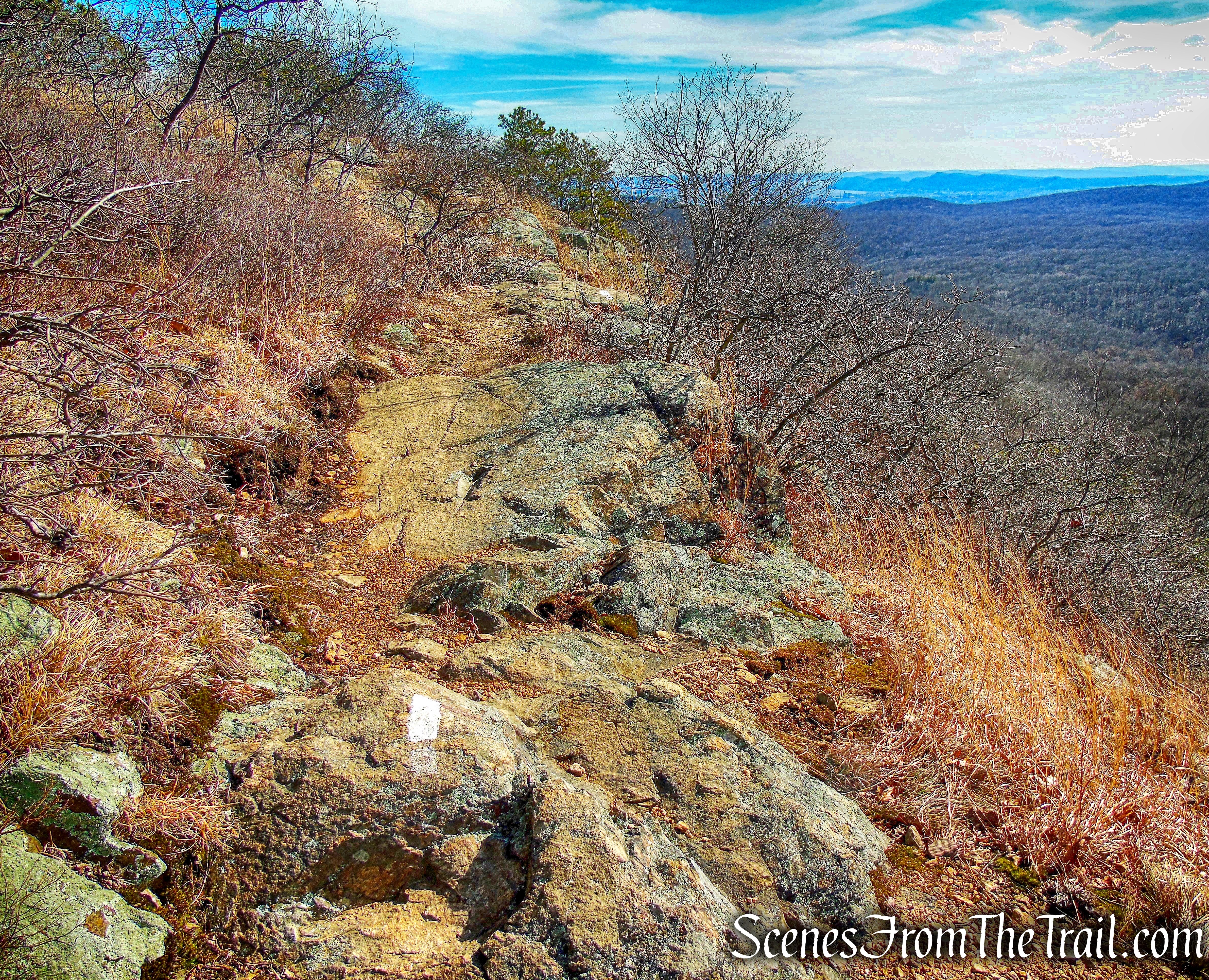 joint AT/R-D trail on Black Mountain