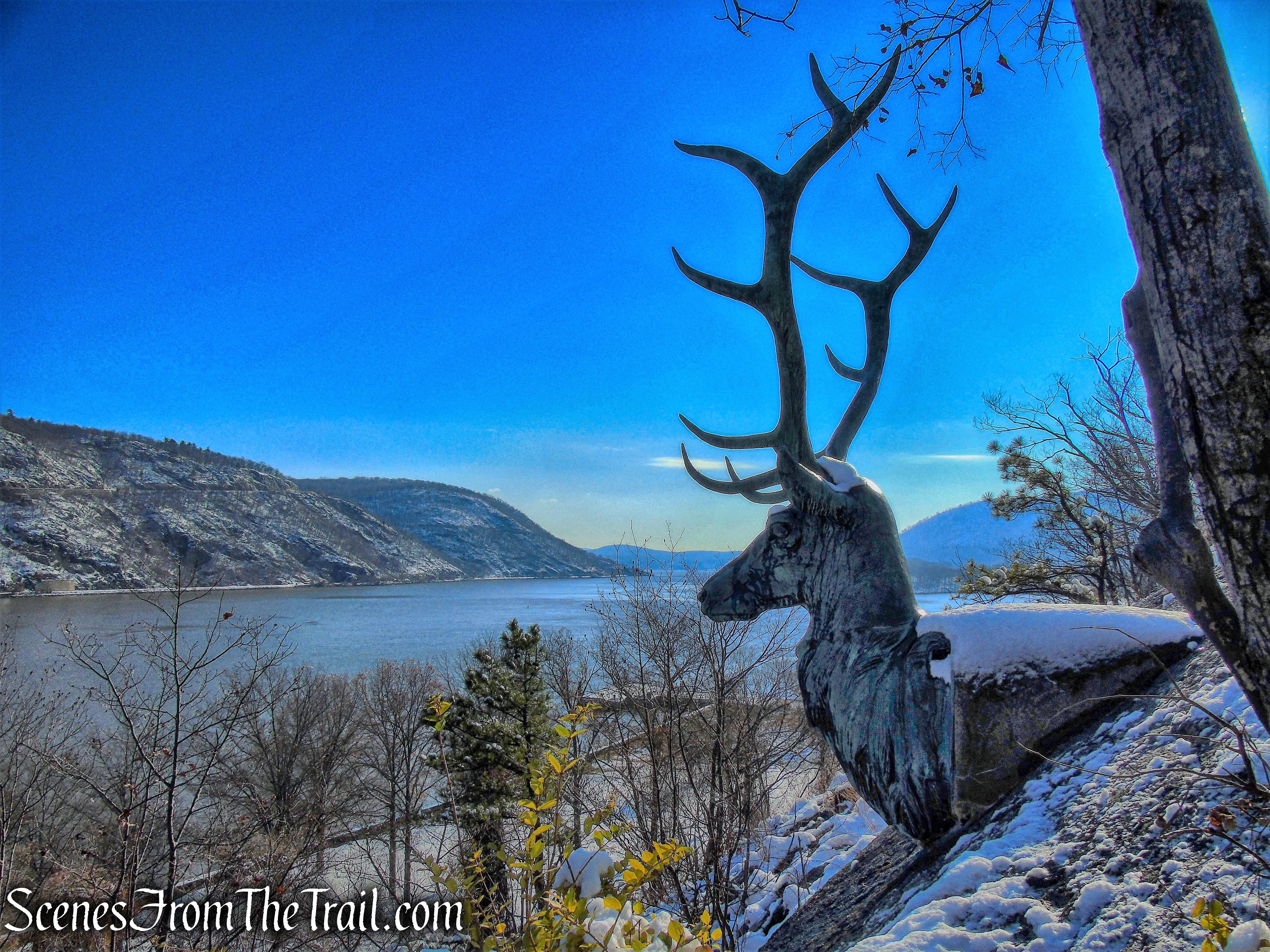 elk’s head - Bear Mountain State Park