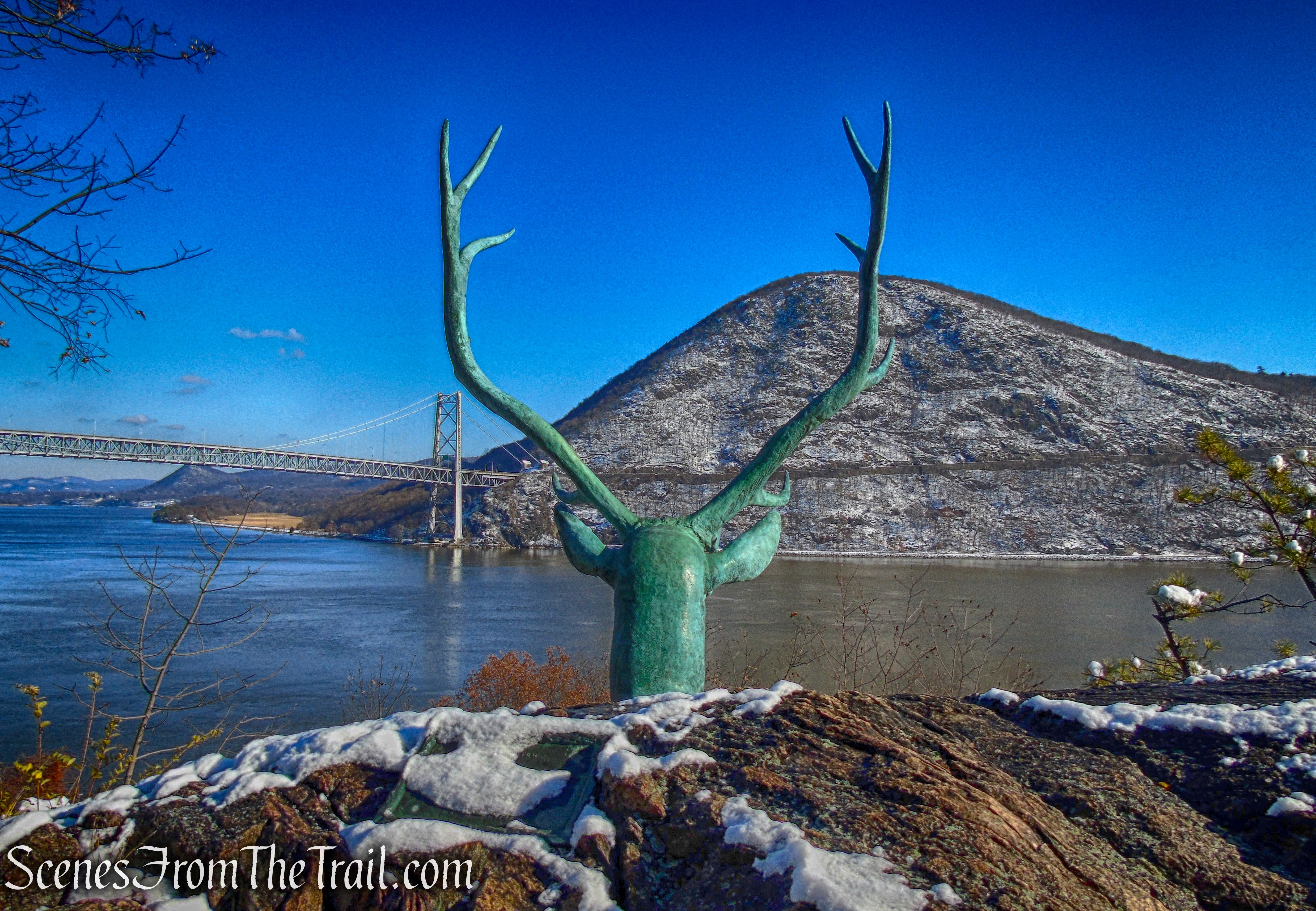 elk’s head - Bear Mountain State Park