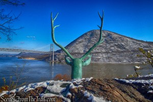 elk’s head - Bear Mountain State Park