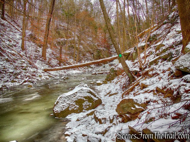 Indian Brook Falls Trail