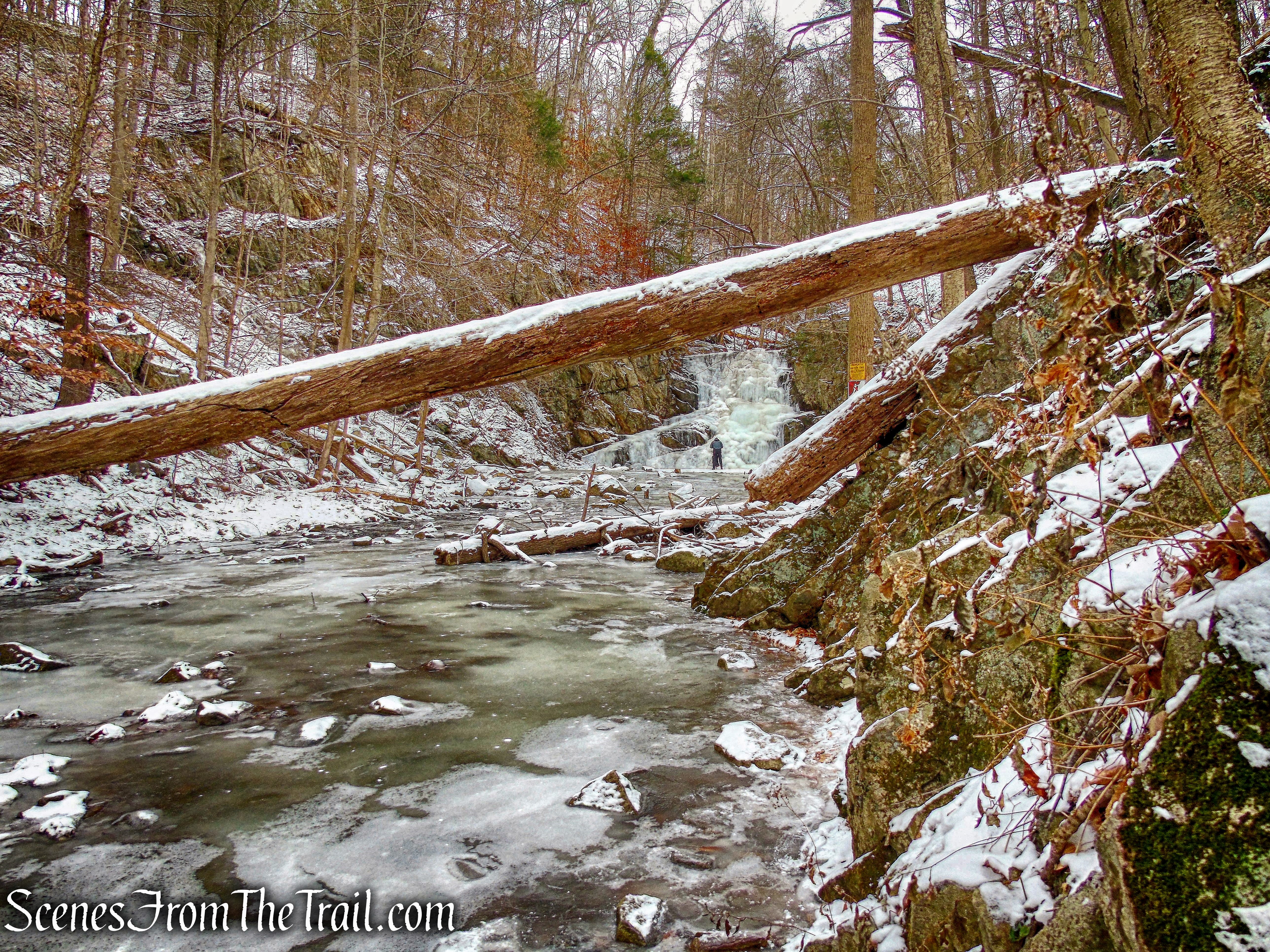 Indian Brook Falls Trail