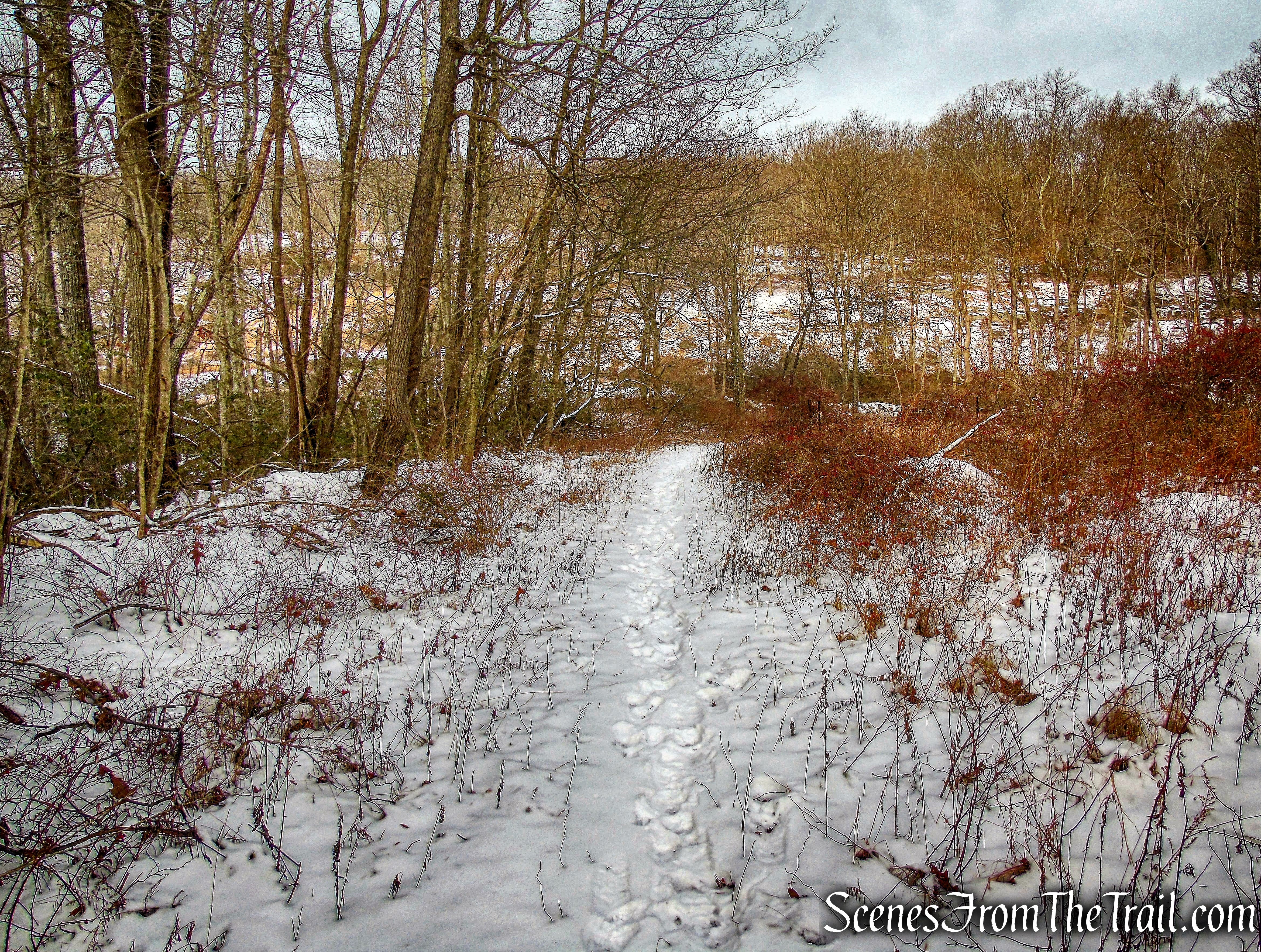 unmarked trail