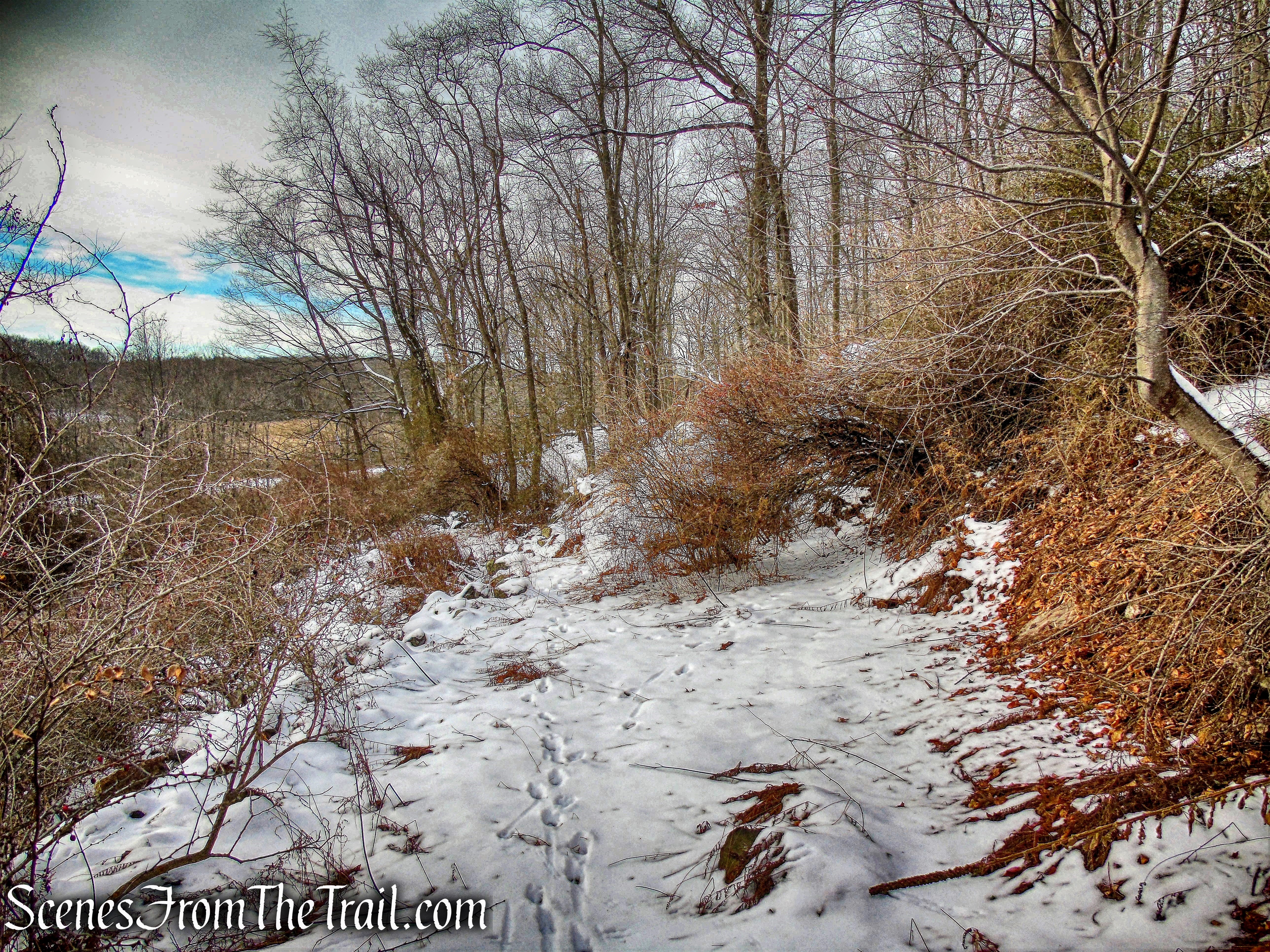 unmarked woods road
