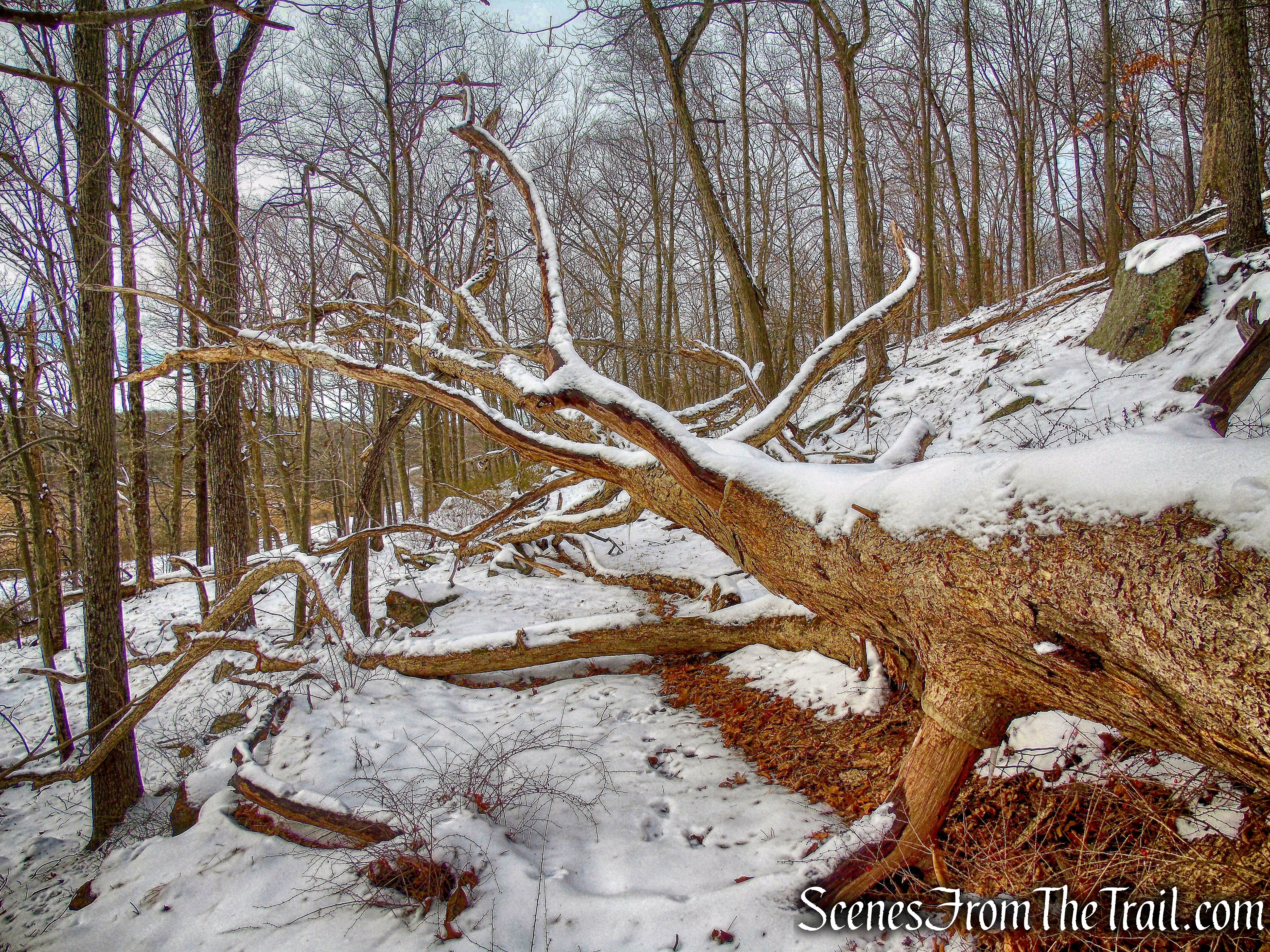large blowdown