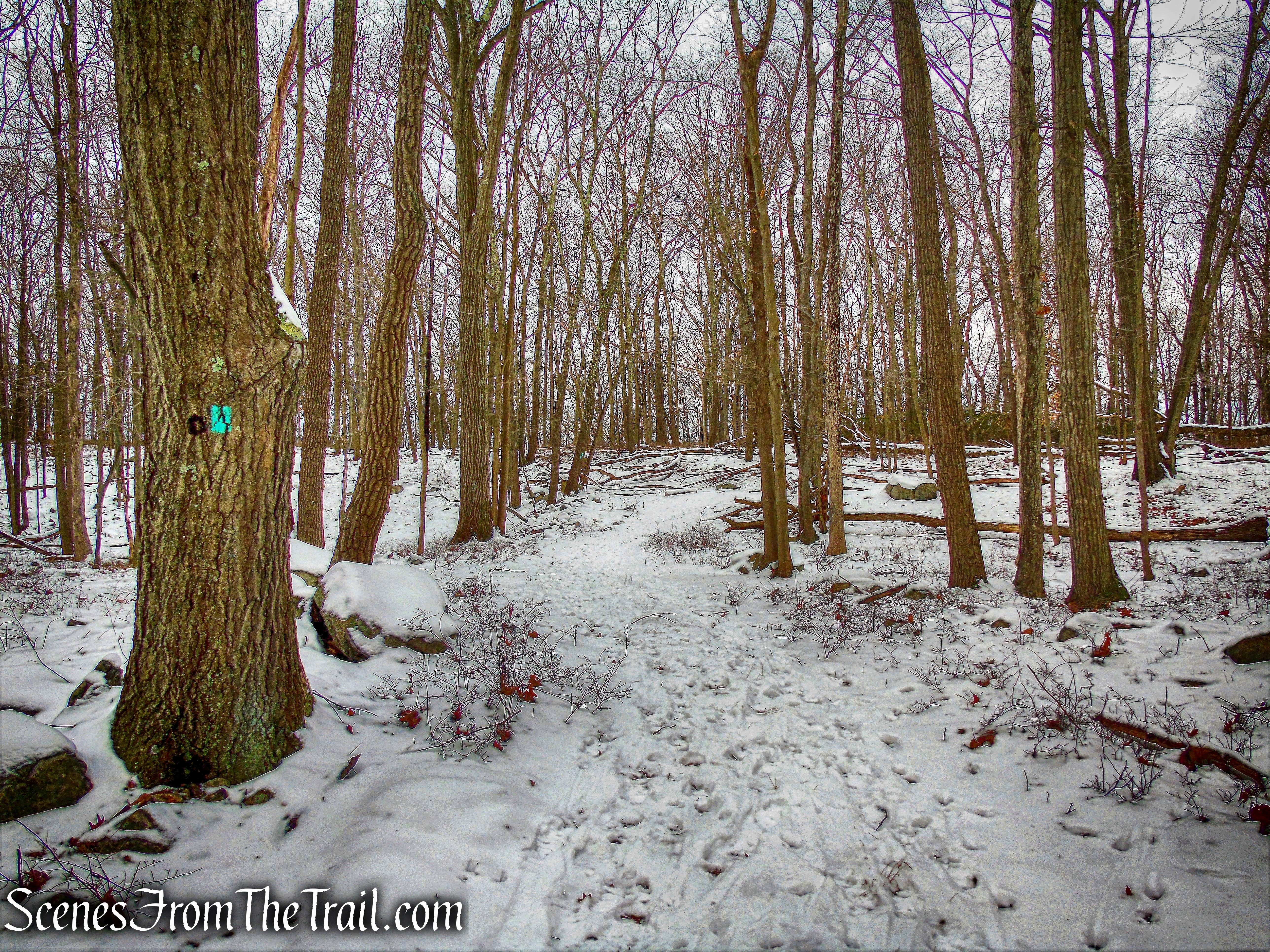 Long Path