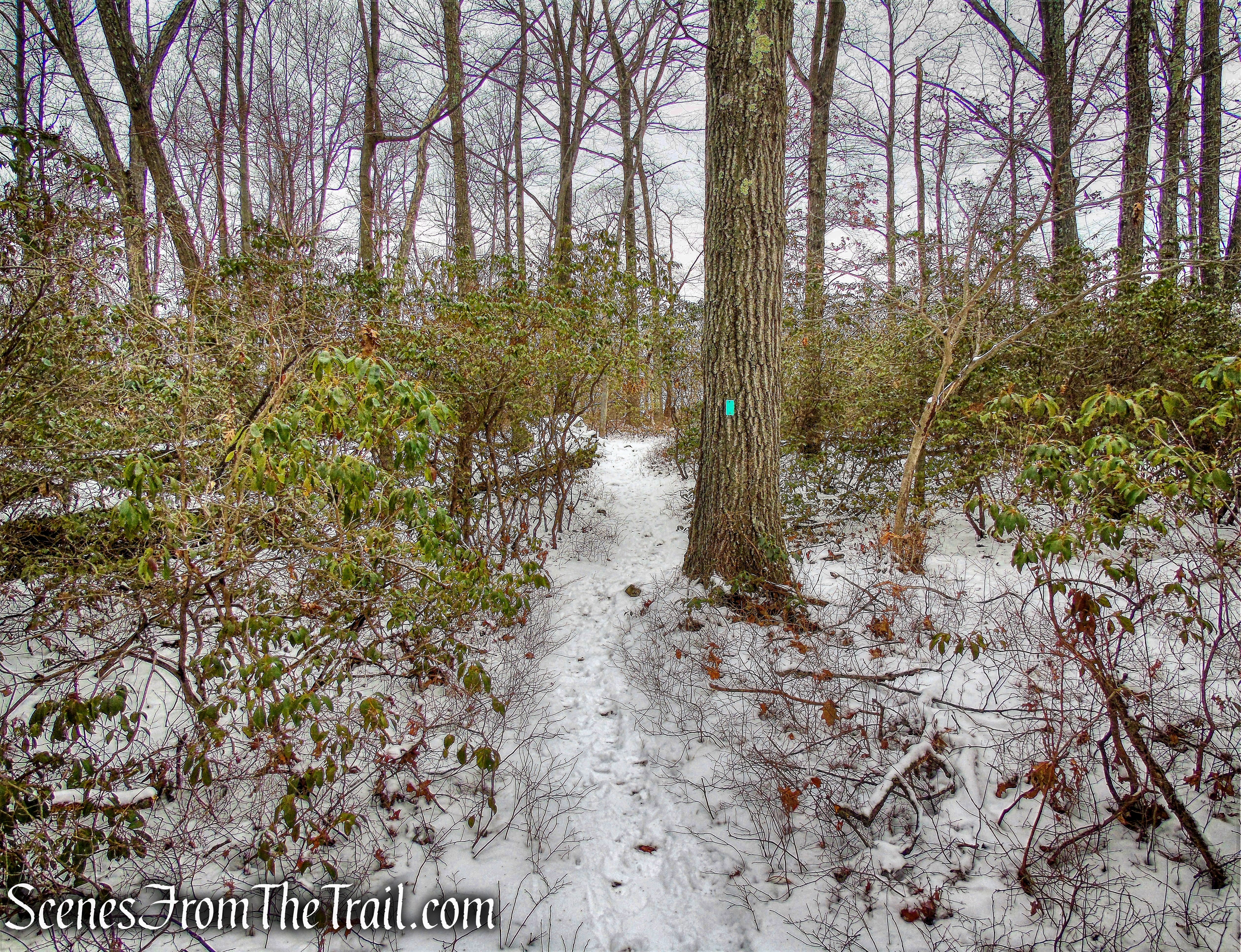 Long Path