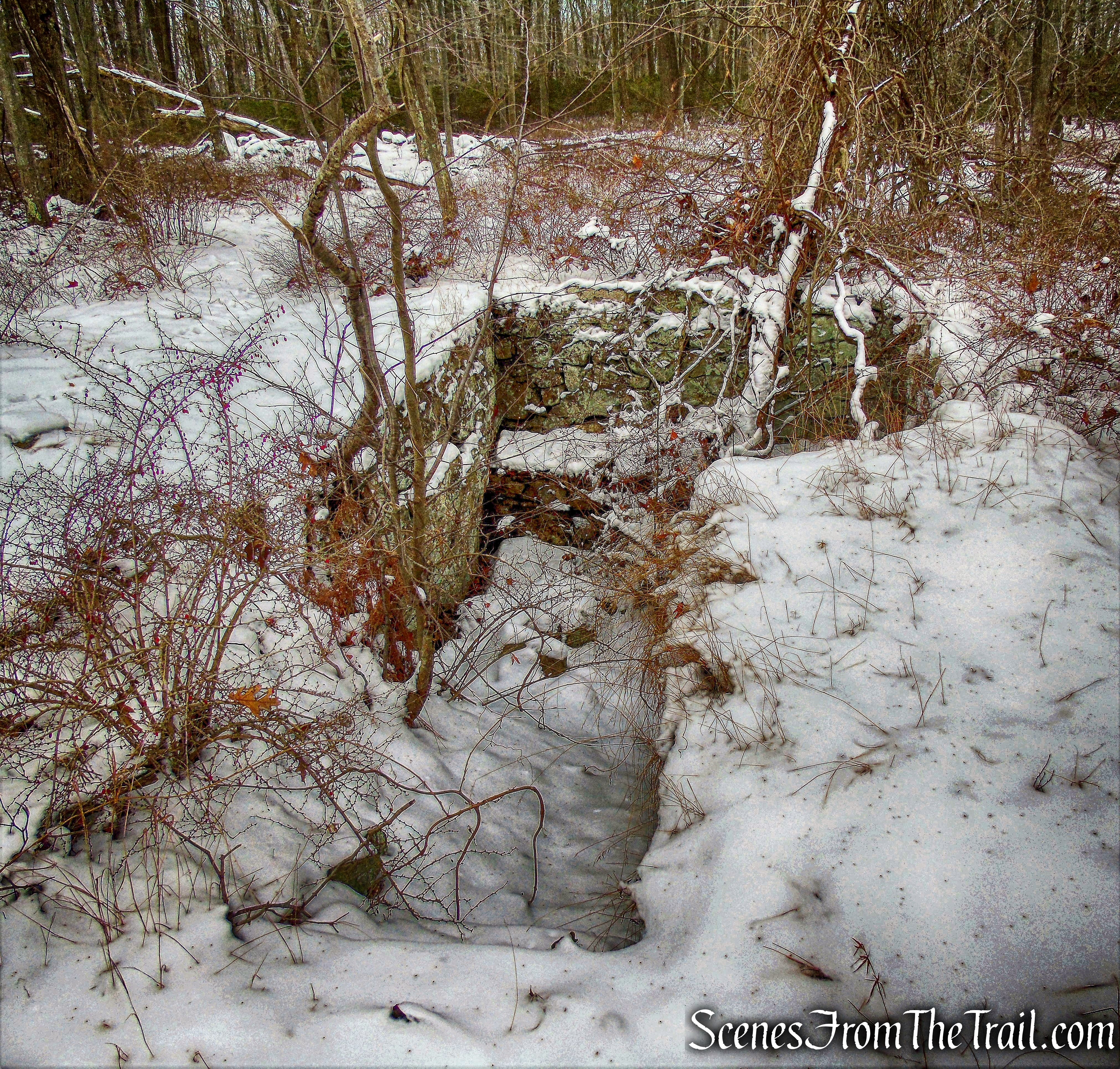 cellar hole - Long Path