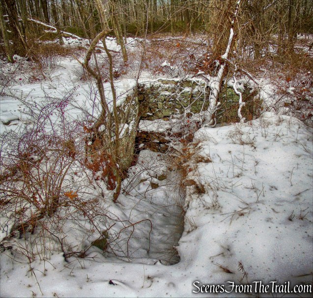 cellar hole - Long Path
