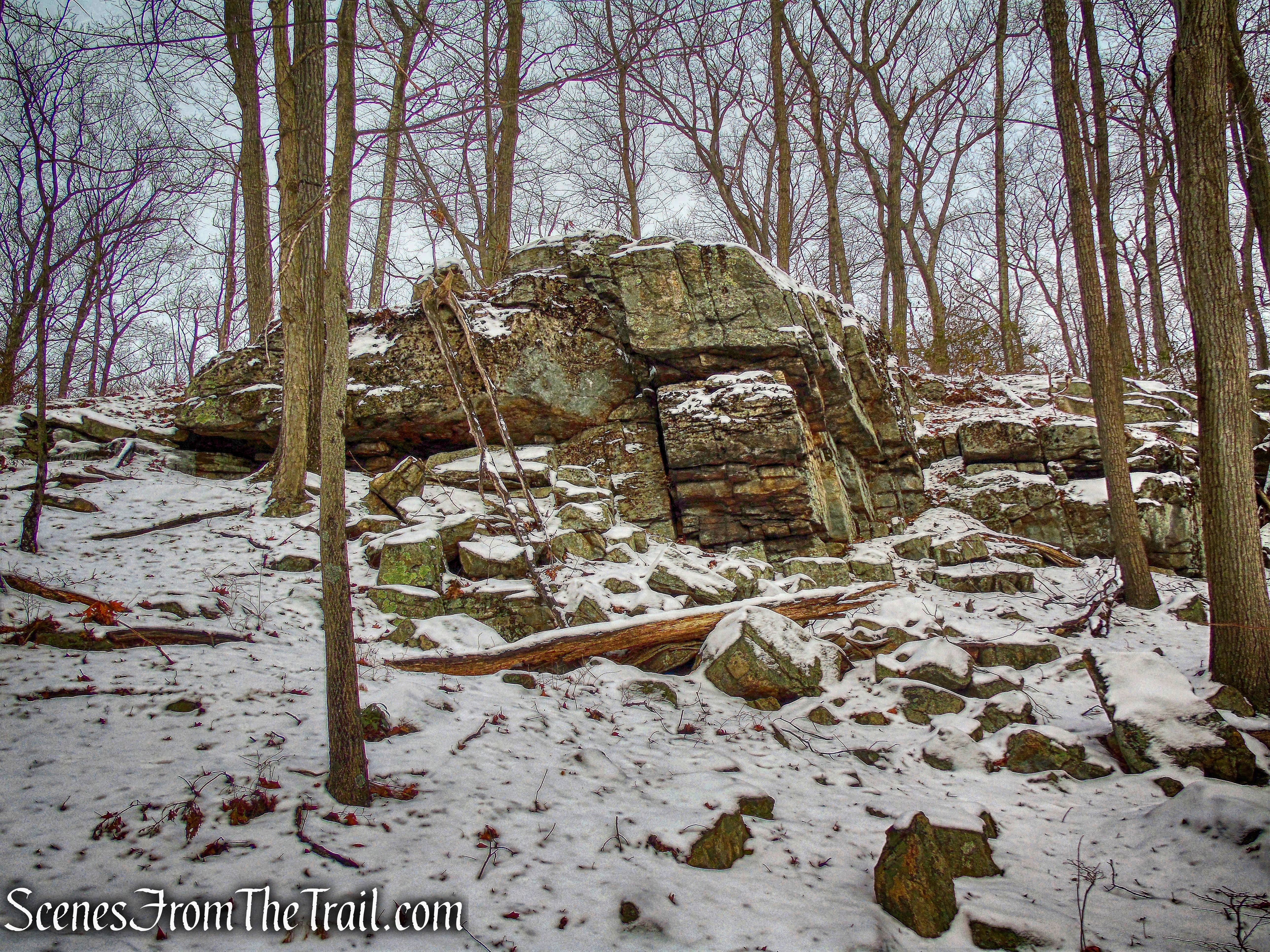 Beech Trail