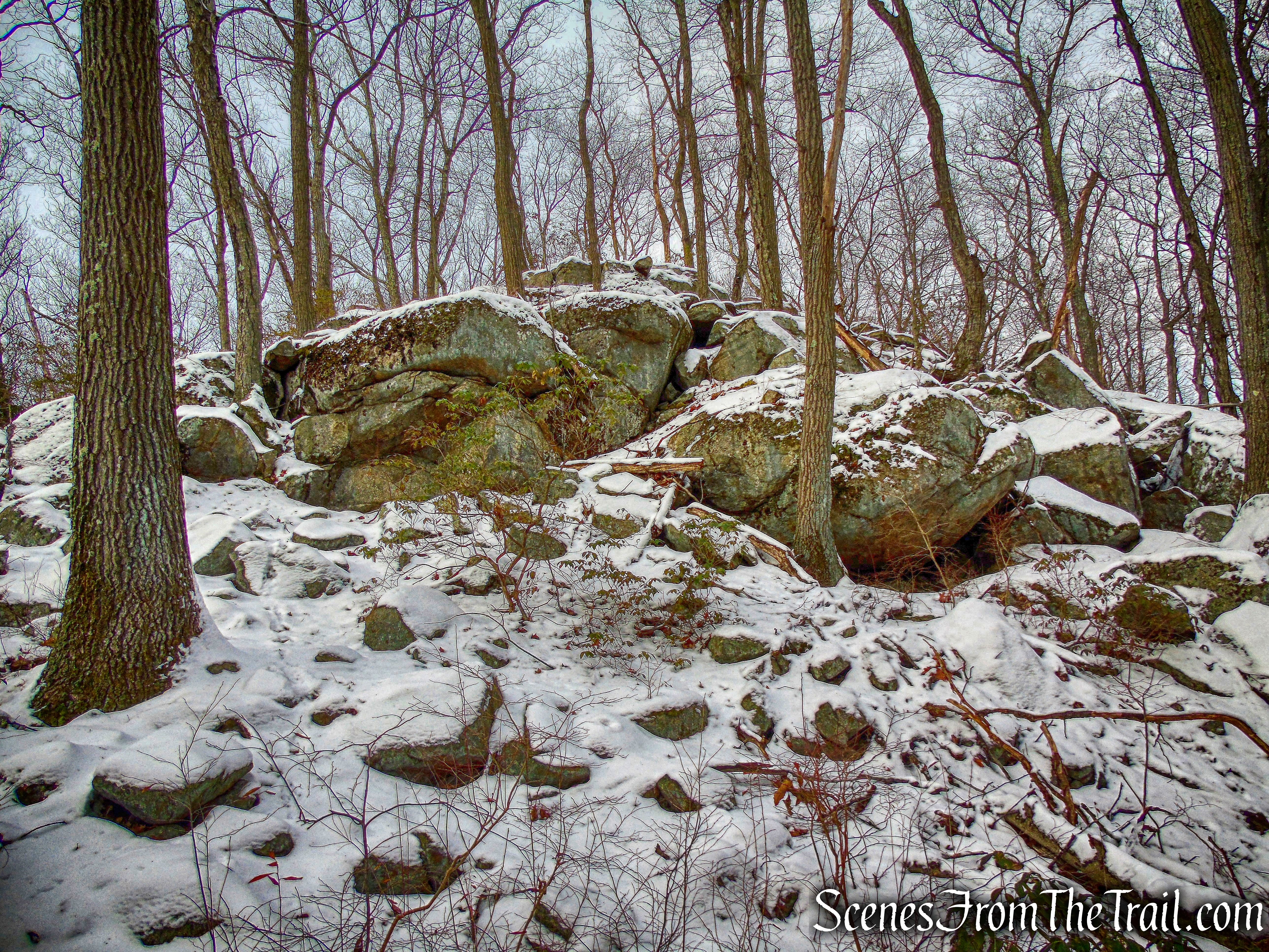 Beech Trail