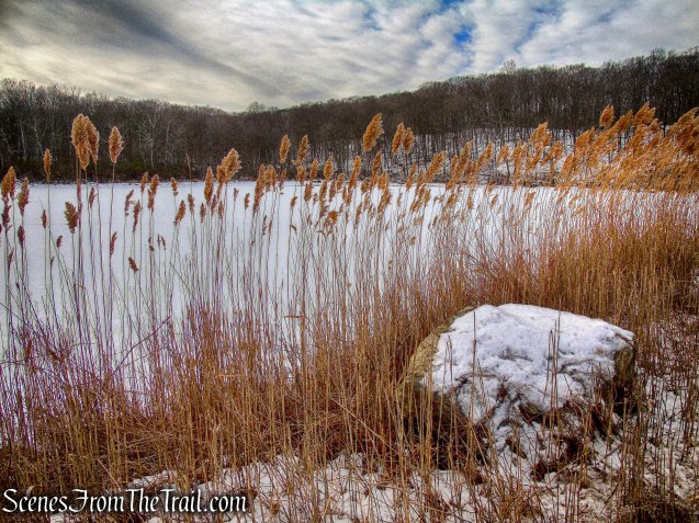 Lake Welch as viewed from CR 106