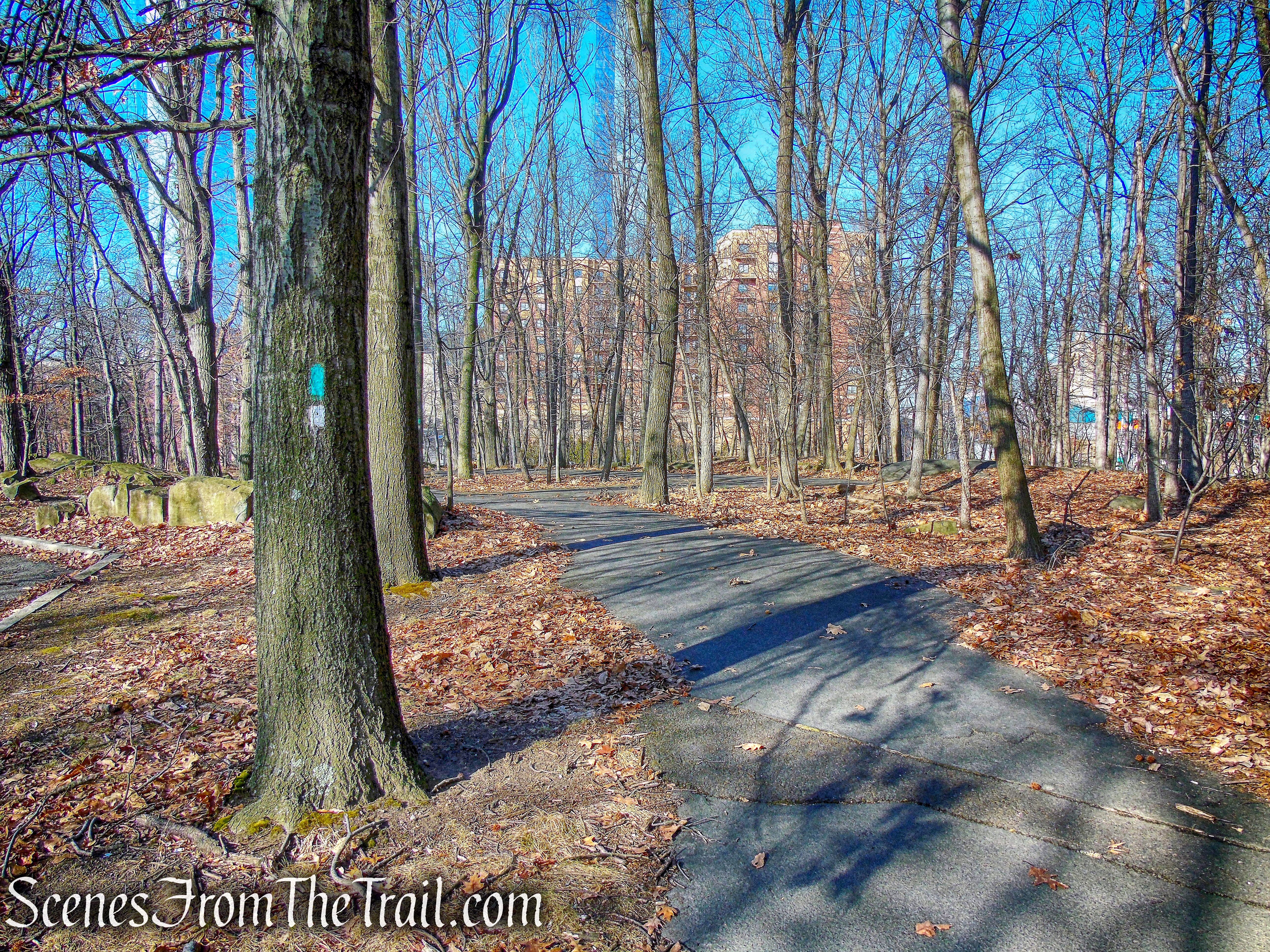 Long Path