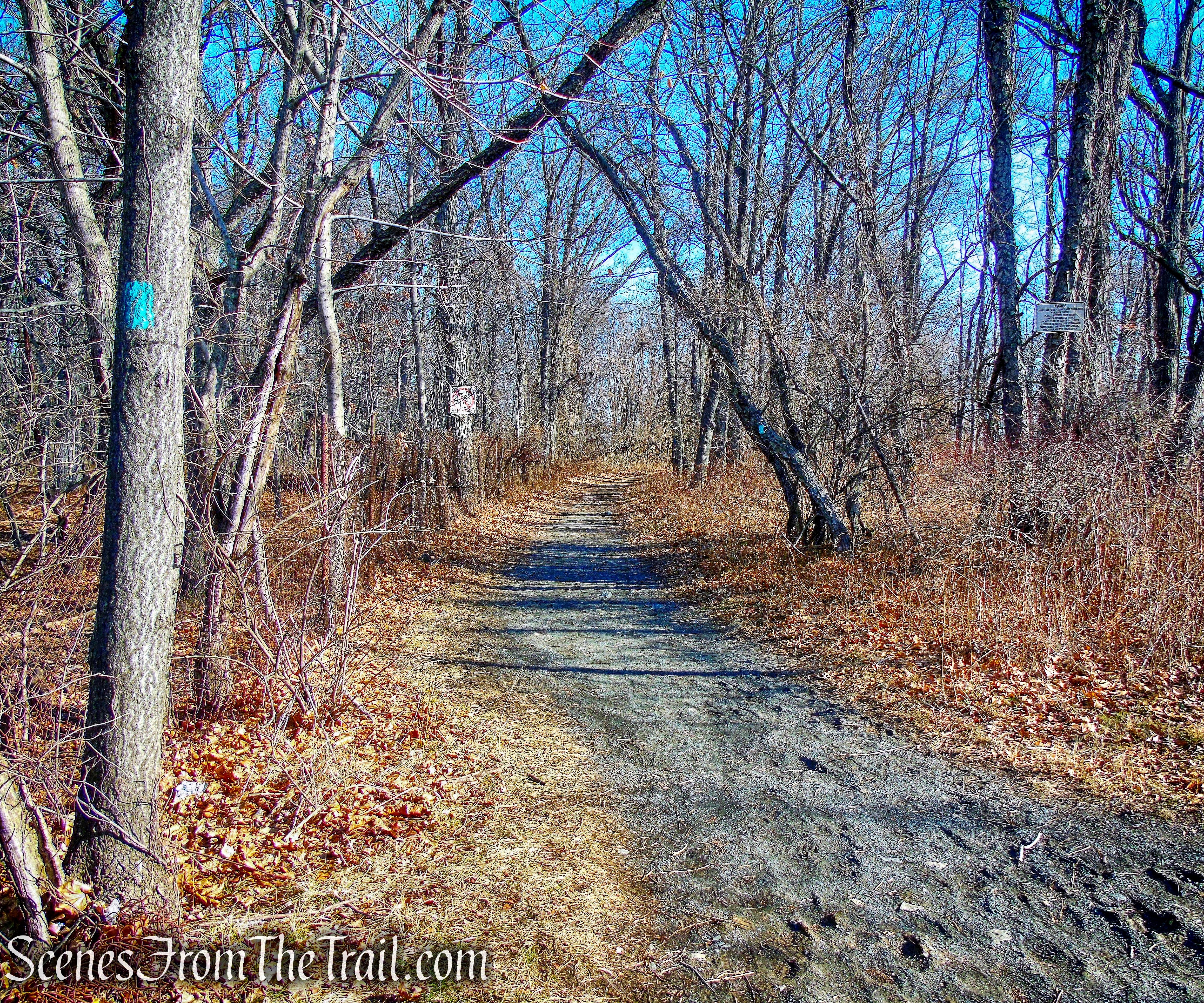 Long Path