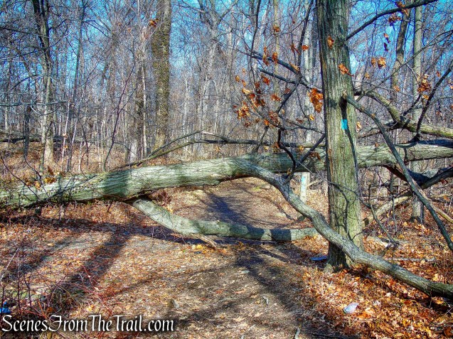 blowdown - Long Path