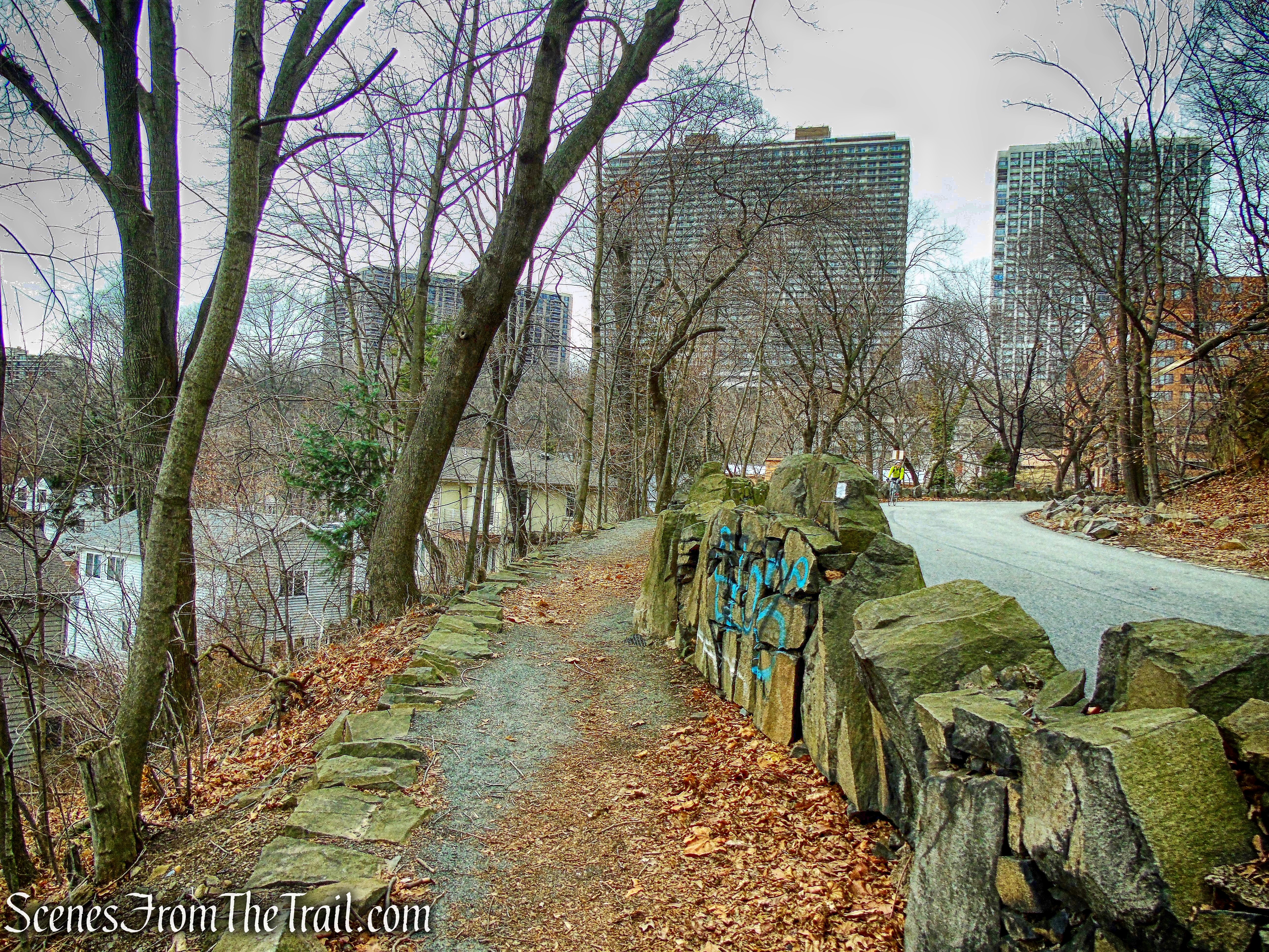 Shore Trail