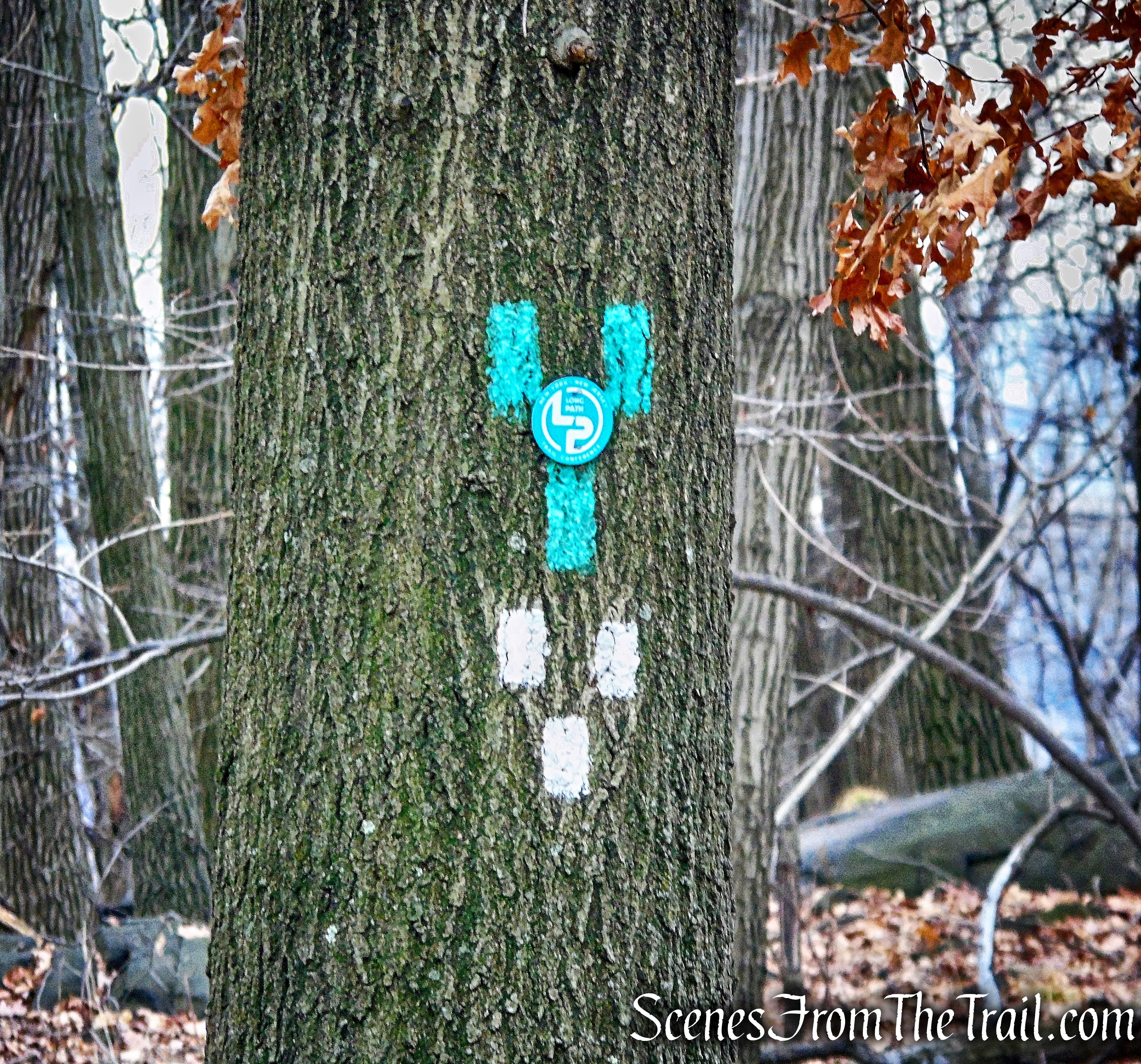 terminus of the Shore Trail