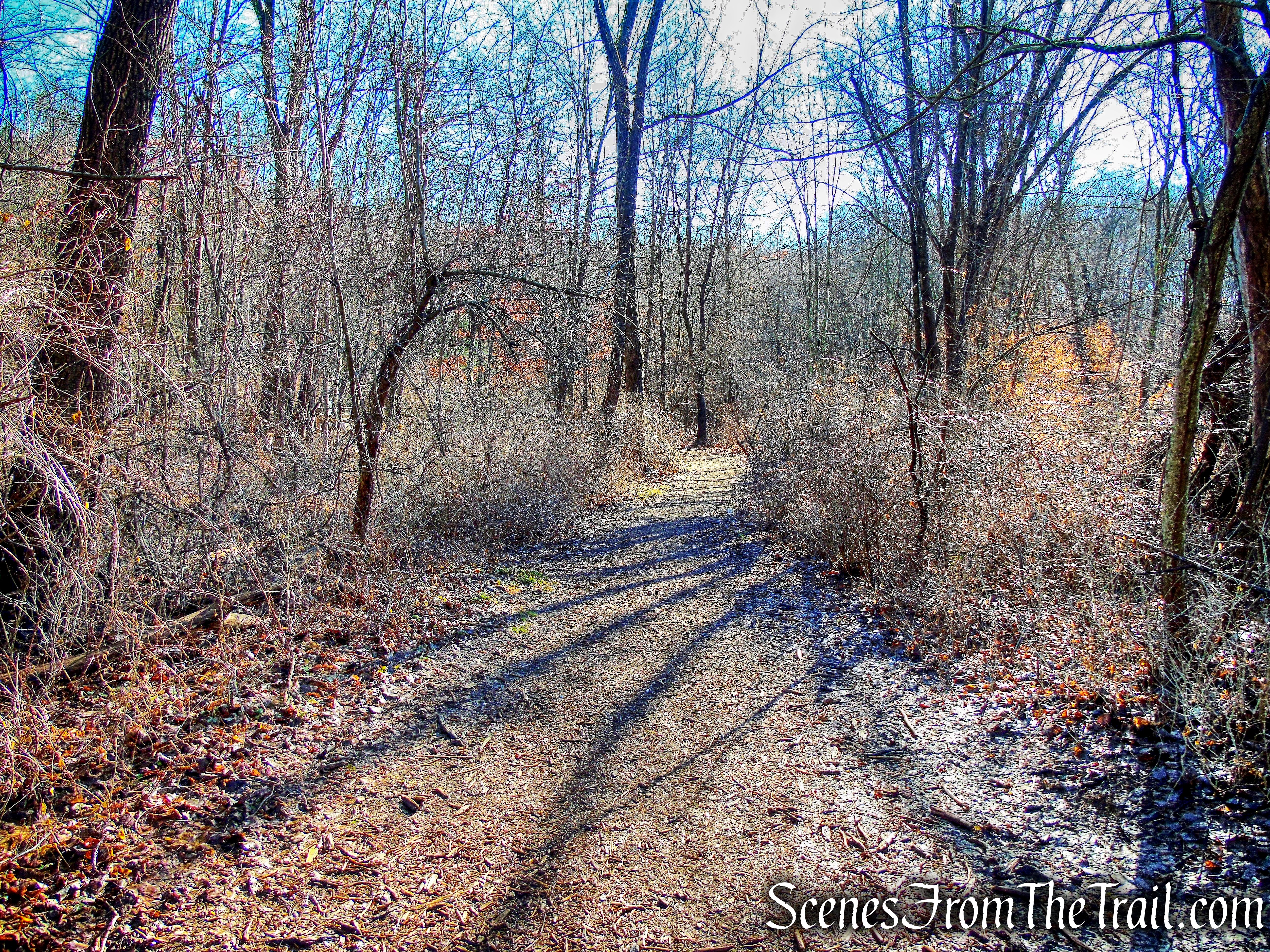 white-blazed Turtle Pond Trail