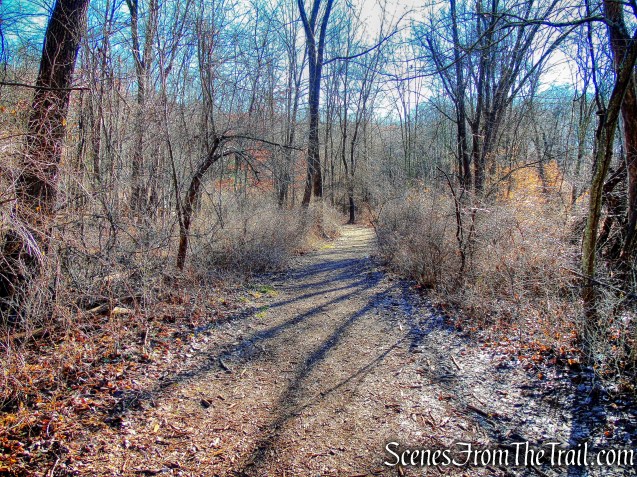 white-blazed Turtle Pond Trail