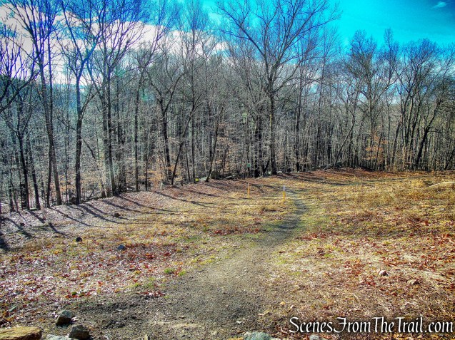 white-blazed Turtle Pond Trail
