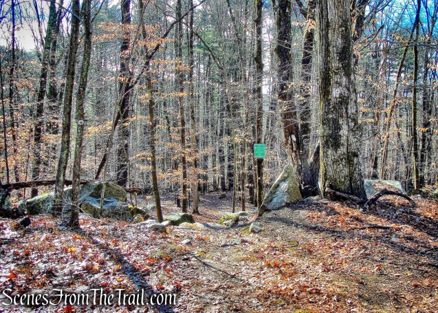 white-blazed Turtle Pond Trail
