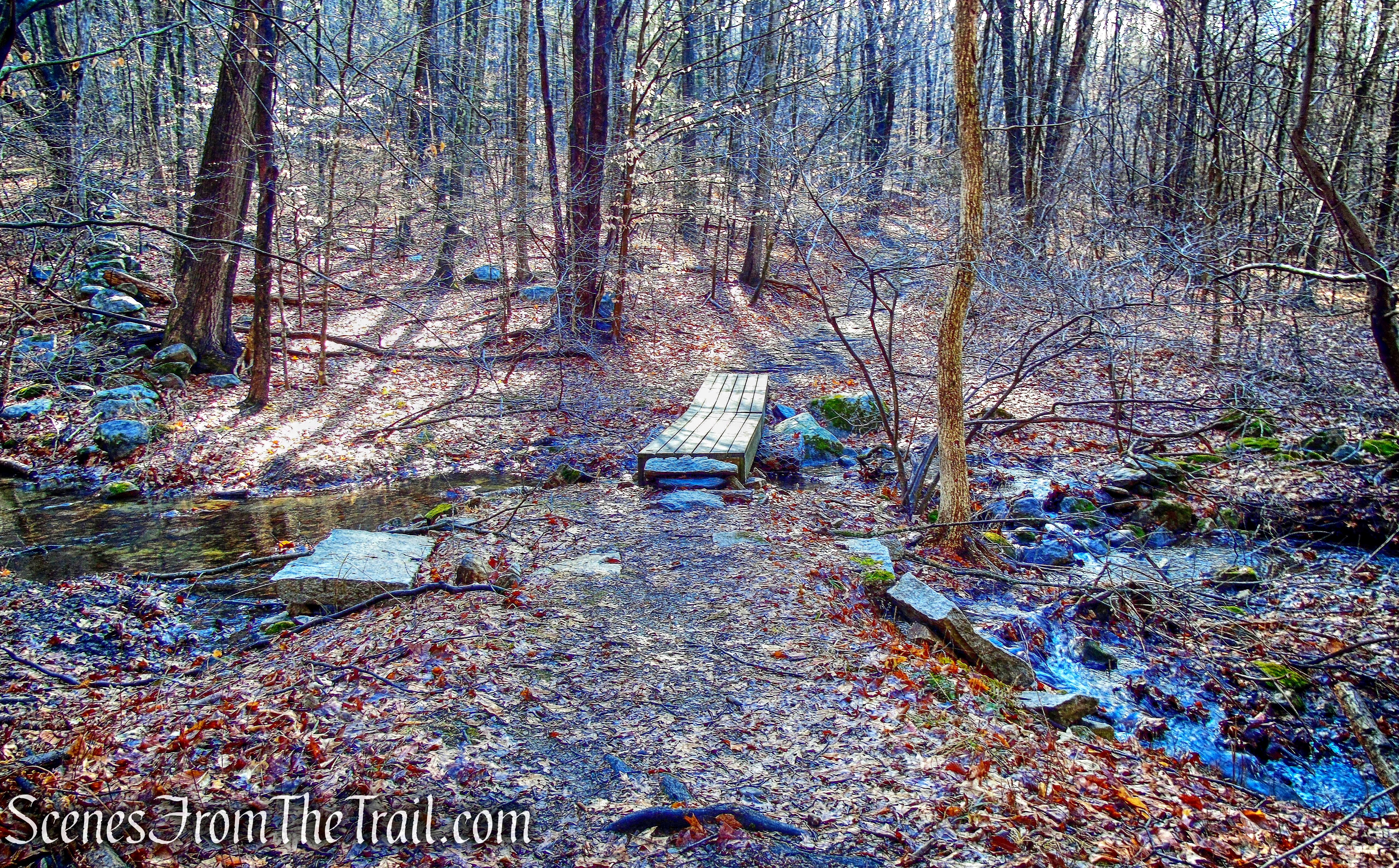 Sylvan Brook