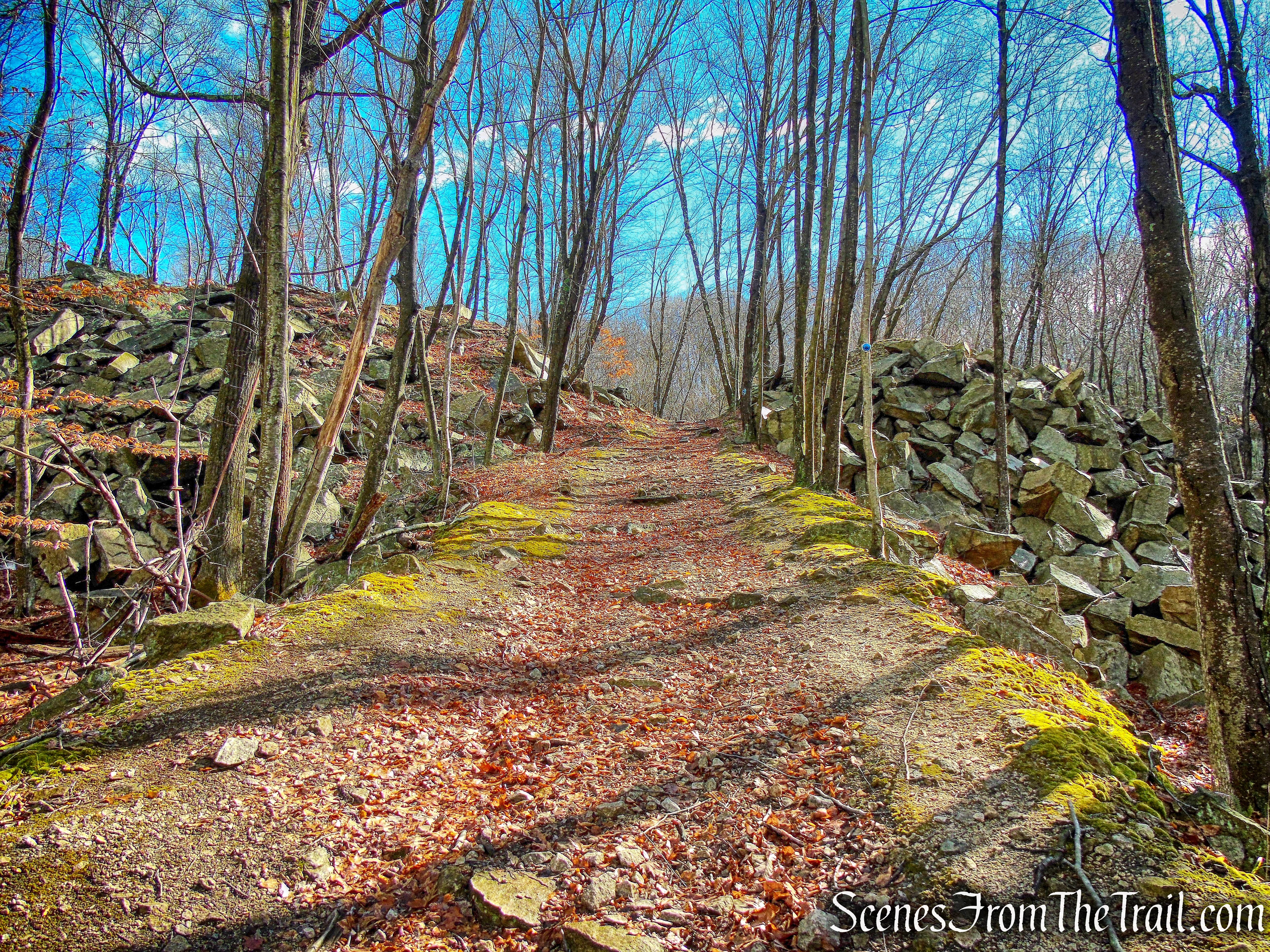 blue-blazed High Quarry Trail