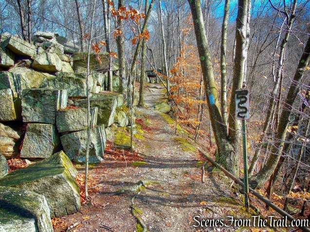 blue-blazed High Quarry Trail