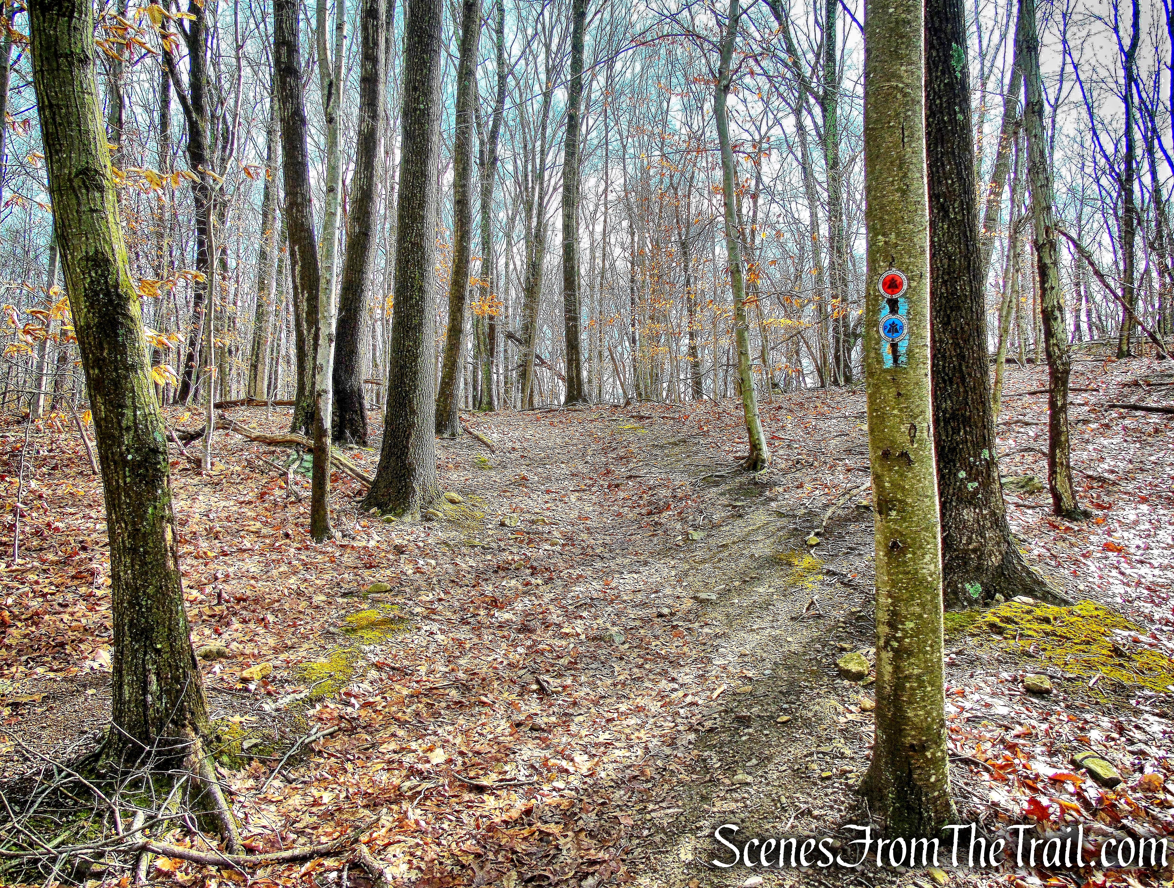 co-aligned High Quarry and Sylvan Glen trails