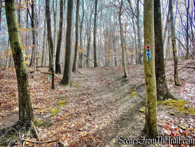 co-aligned High Quarry and Sylvan Glen trails