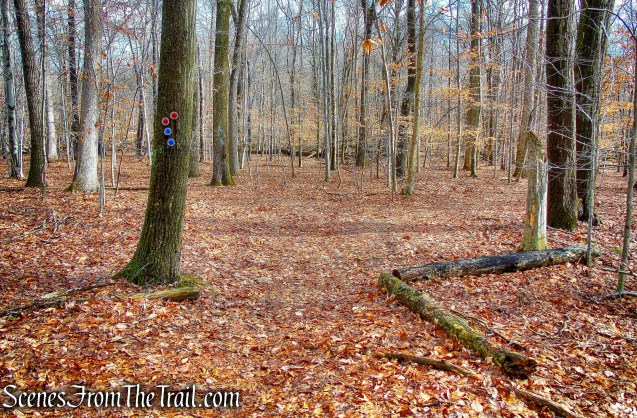 veer right onto the red-blazed Sylvan Glen Trail