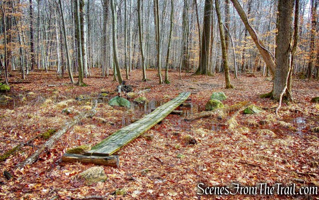 wooden planks - Sylvan Glen Trail