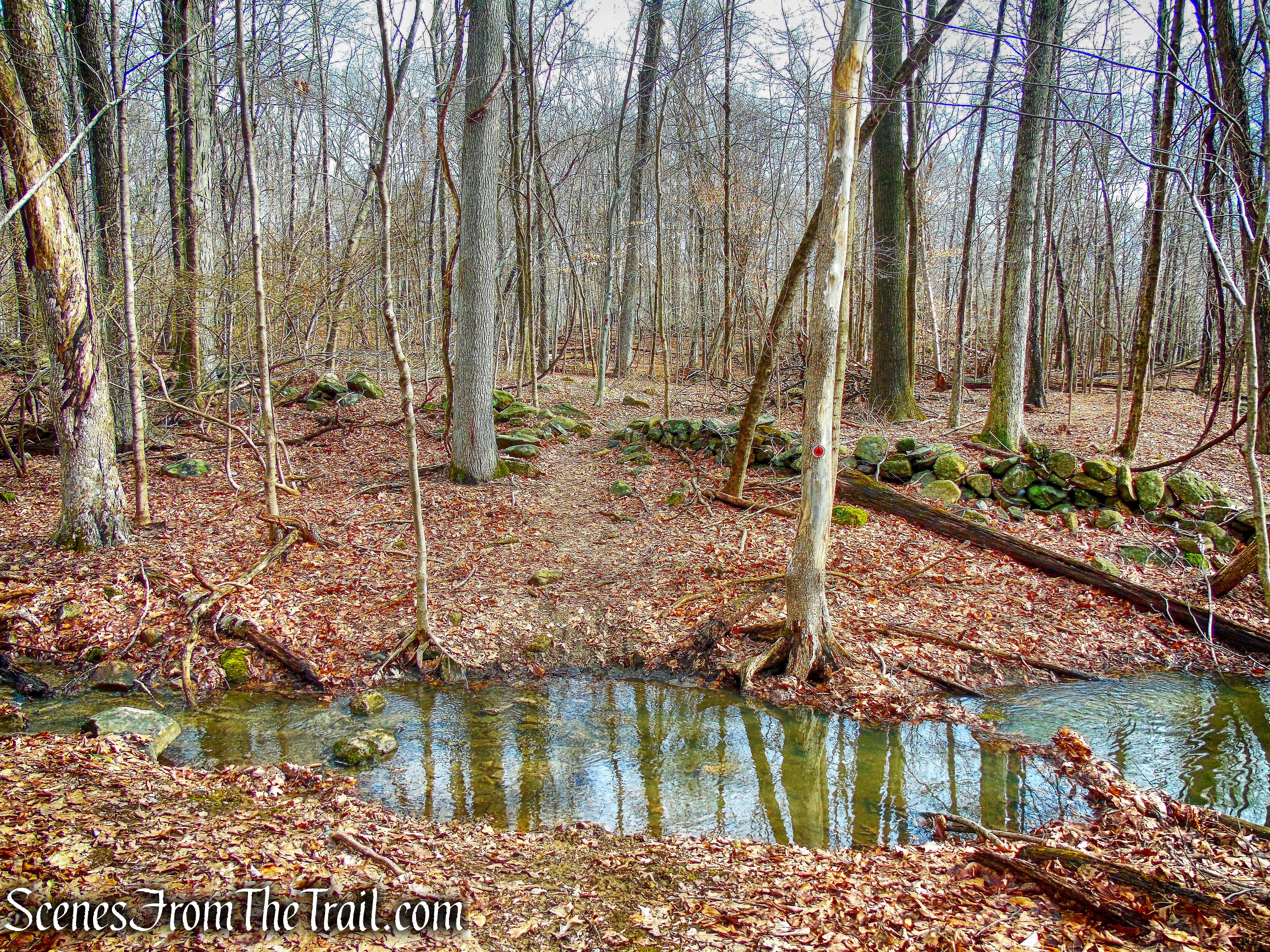 stream crossing - Sylvan Glen Trail