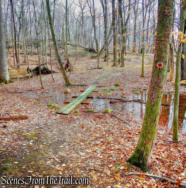 wet area - Sylvan Glen Trail