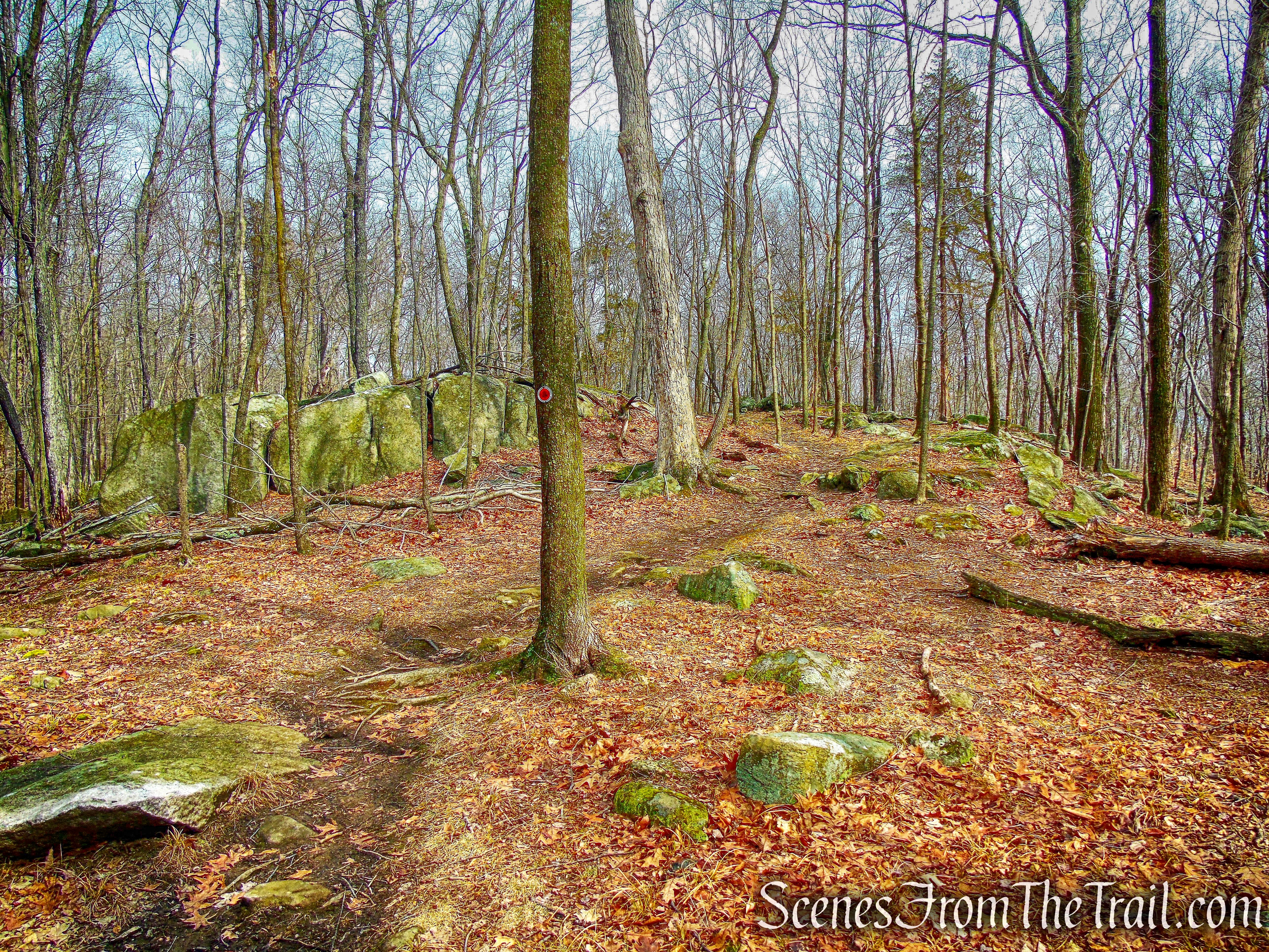 knoll - Sylvan Glen Trail