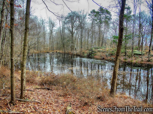 pond - Sylvan Glen Trail