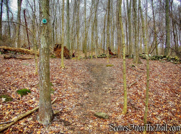 green-blazed Old Farm Trail