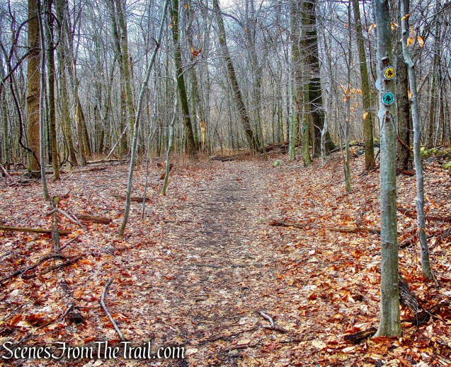 co-aligned Ring and Old Farm trails